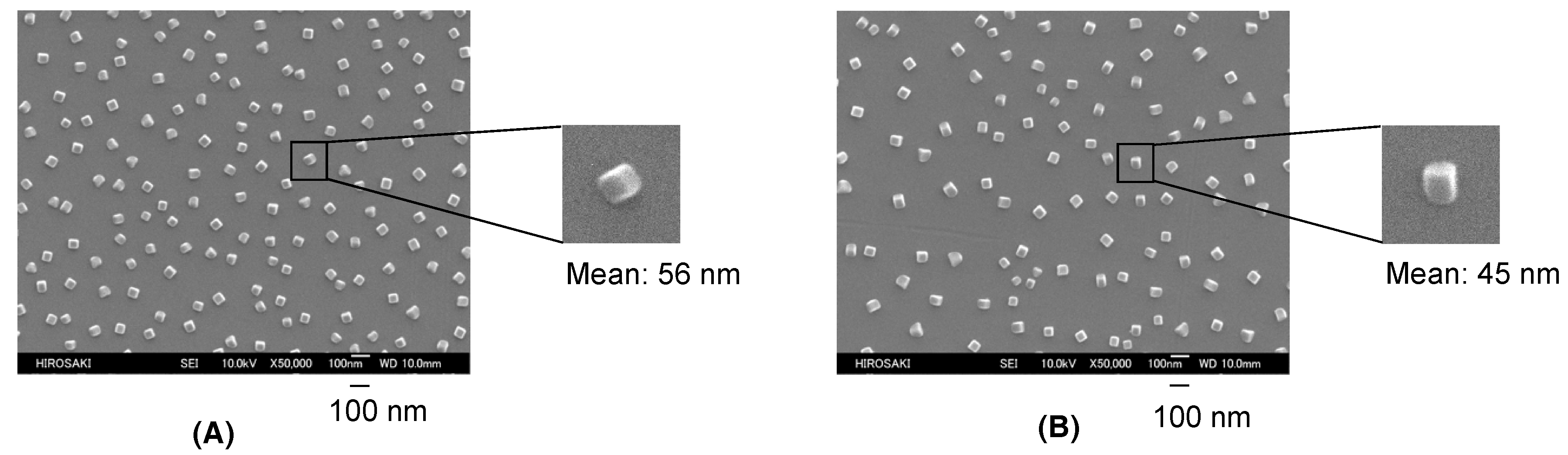 Polymers 09 00292 g001