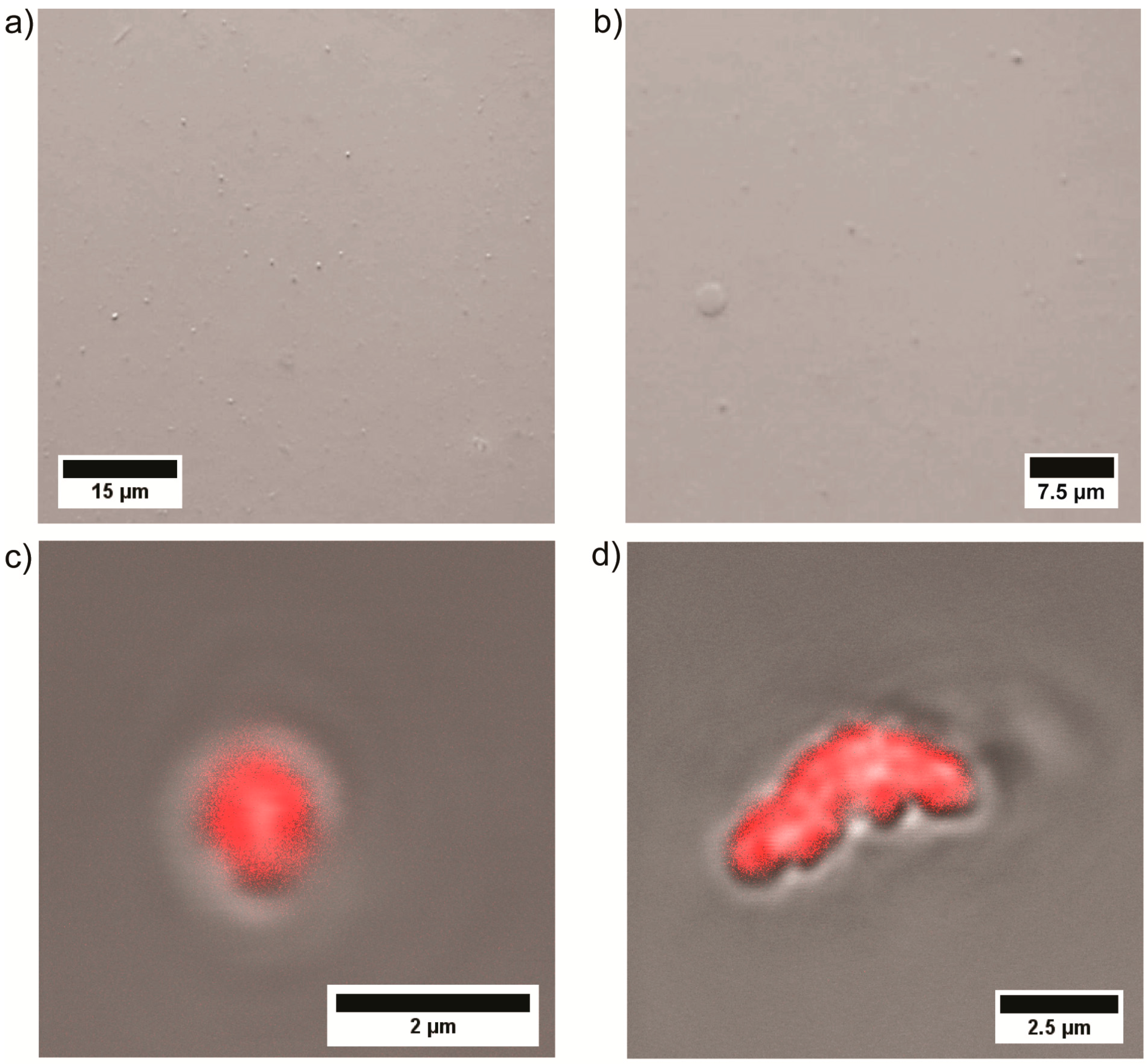 Polymers 09 00293 g003