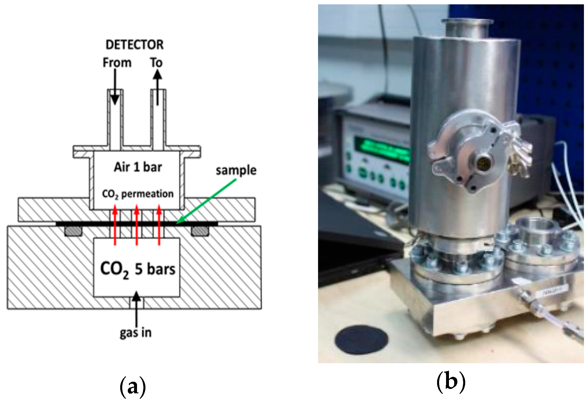 Polymers 09 00294 g003 Polymers 09 00294 g003