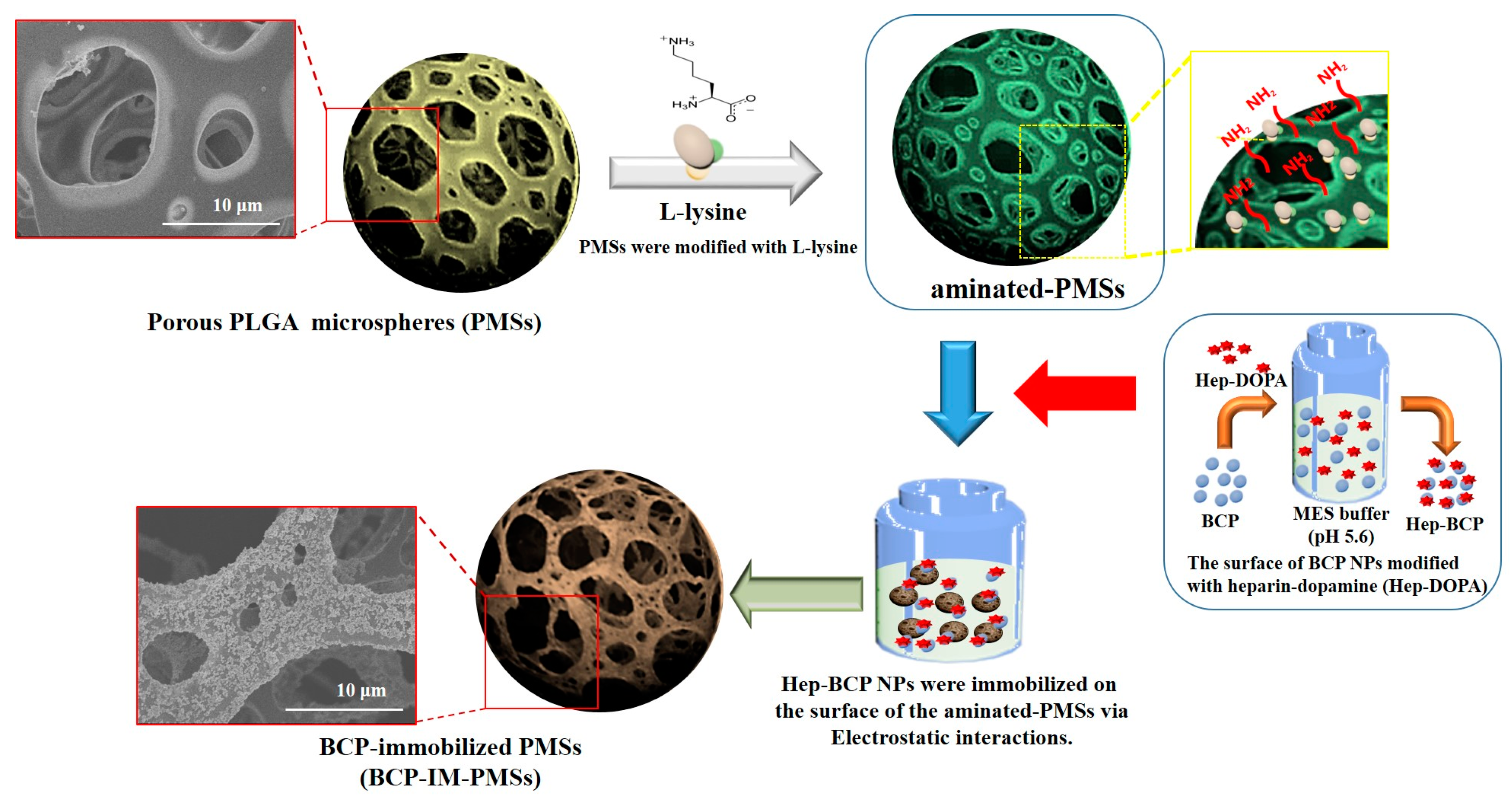 Polymers 09 00297 g001