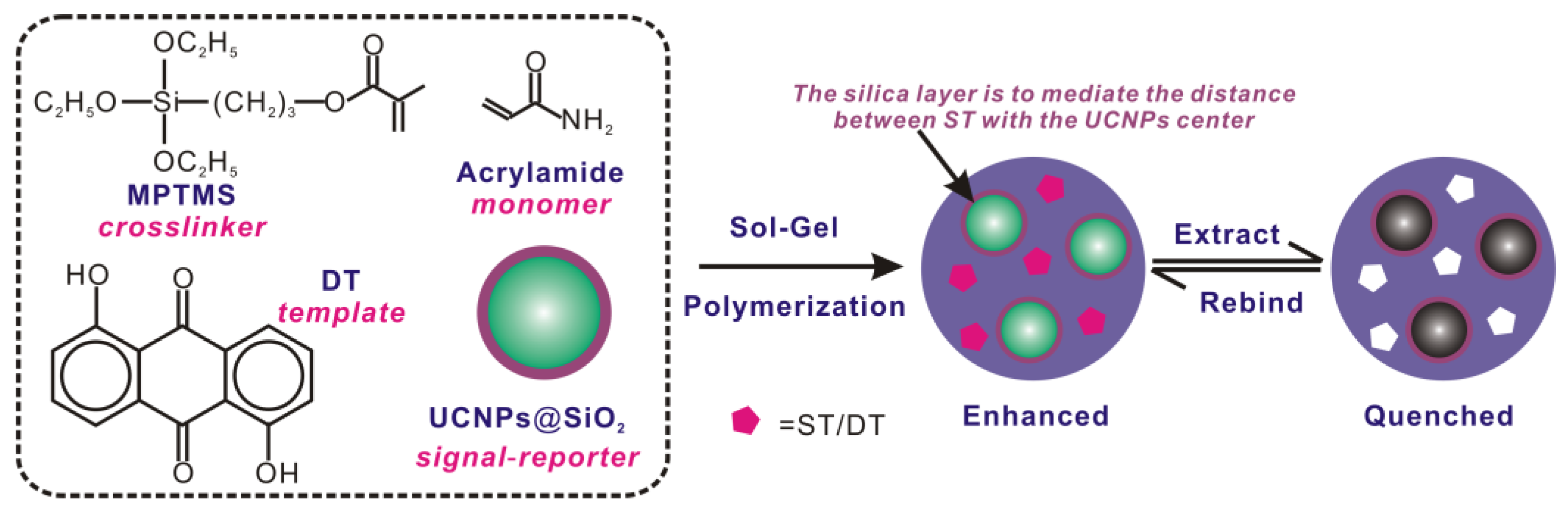 Polymers 09 00299 g001