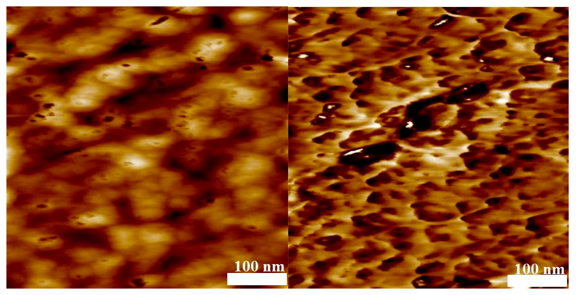 Polymers 09 00306 g009