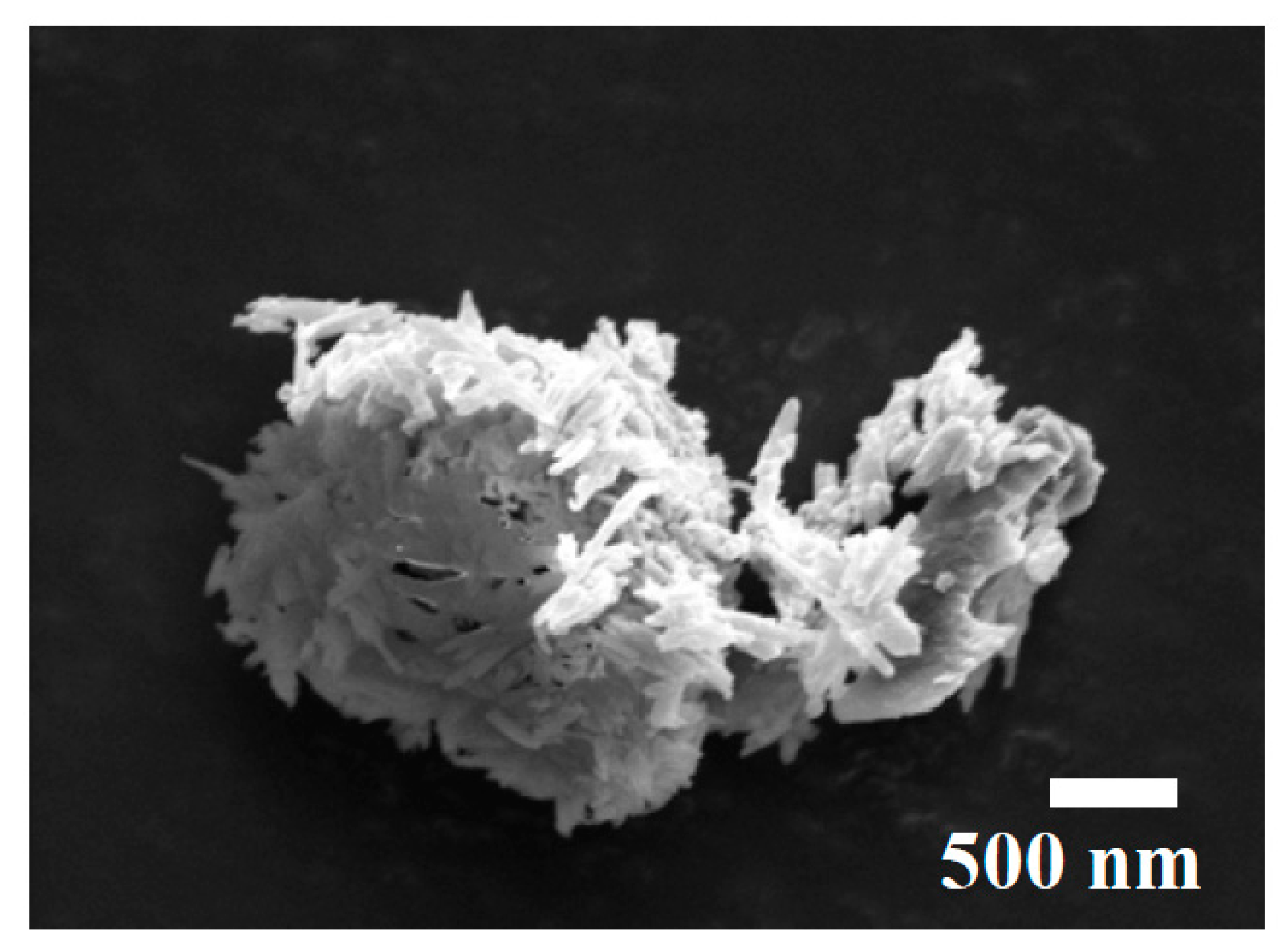 Polymers 09 00314 g002 Polymers 09 00314 g002