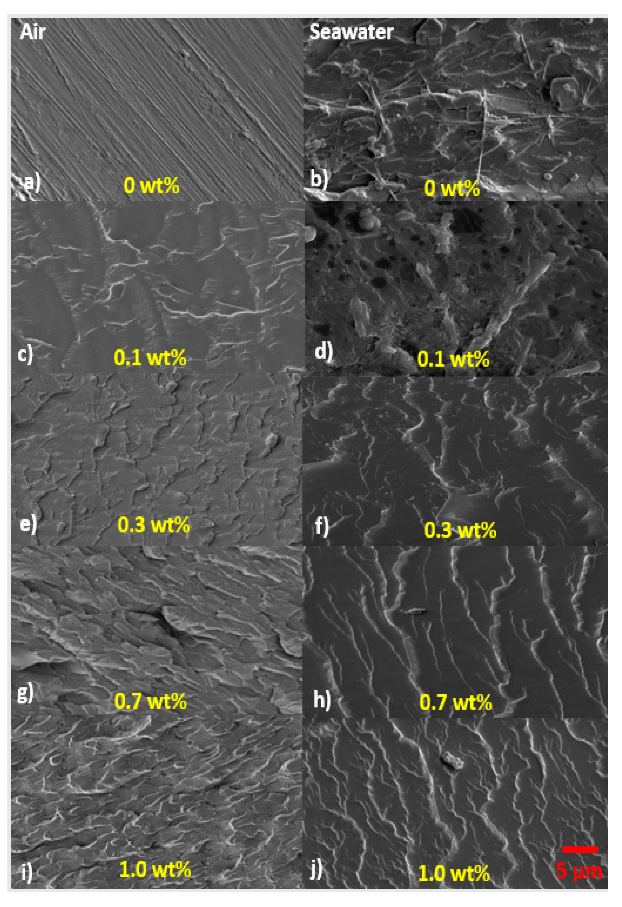 Polymers 09 00314 g006 Polymers 09 00314 g006