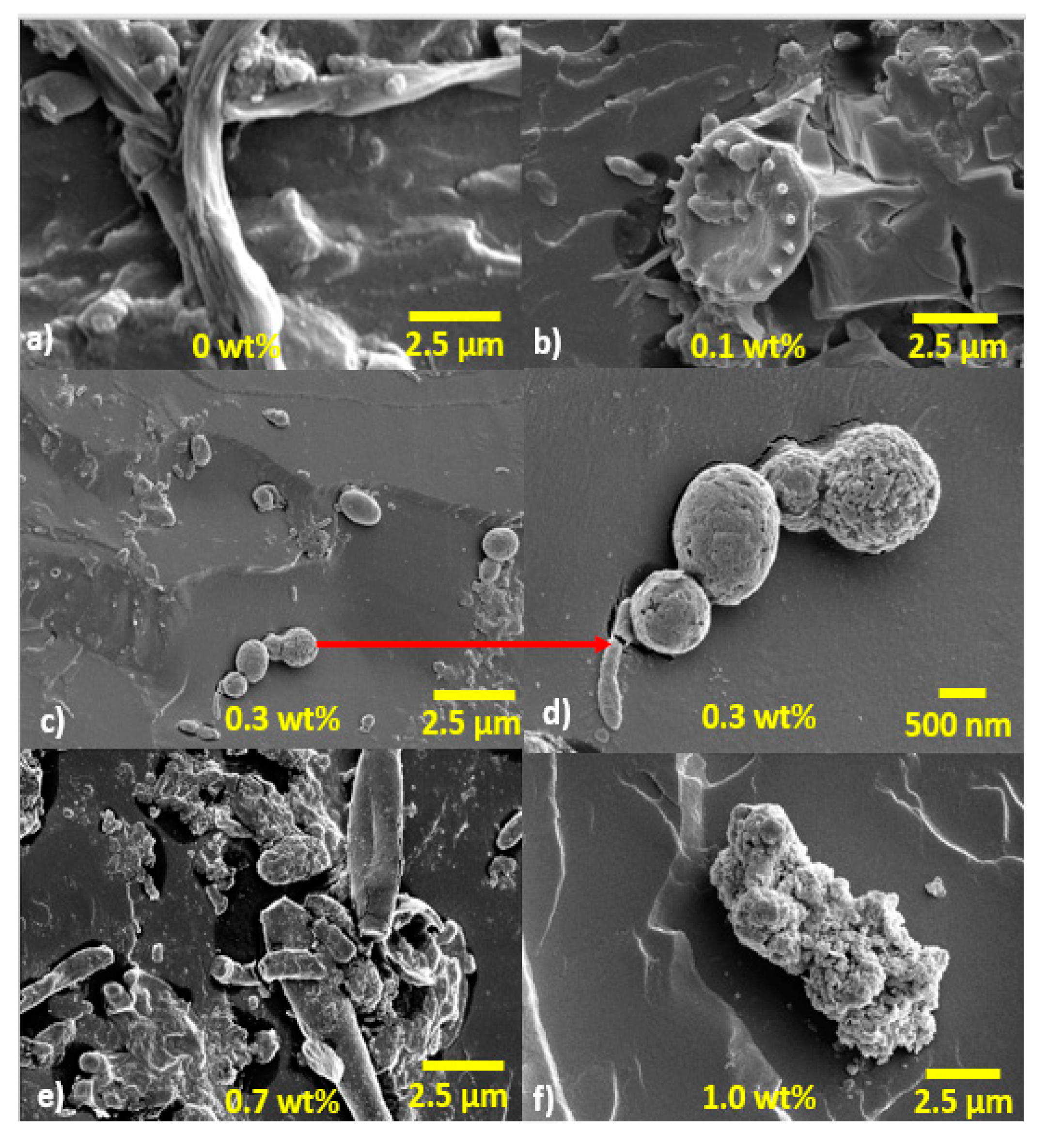 Polymers 09 00314 g007 Polymers 09 00314 g007