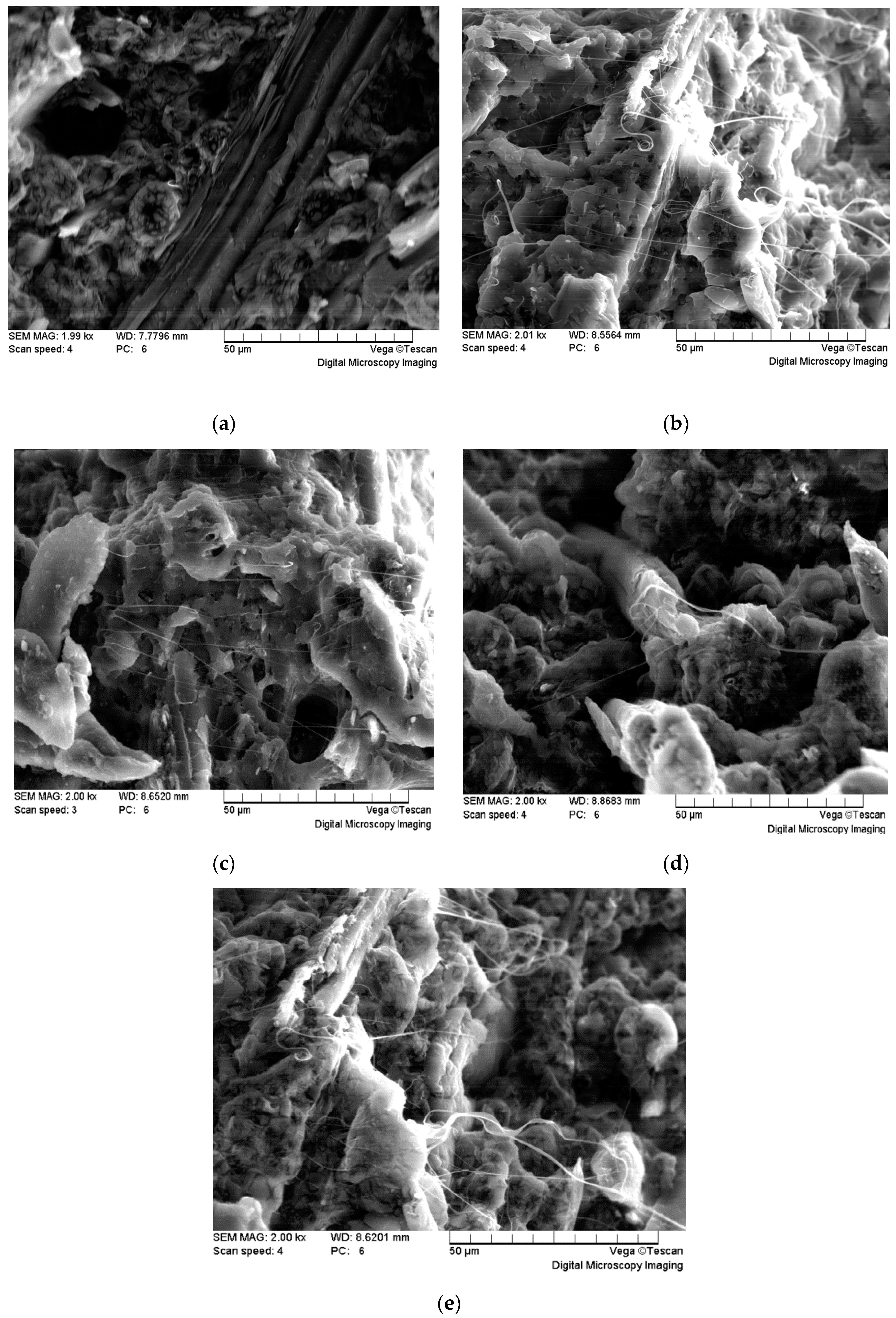 Polymers 09 00323 g007 Polymers 09 00323 g007