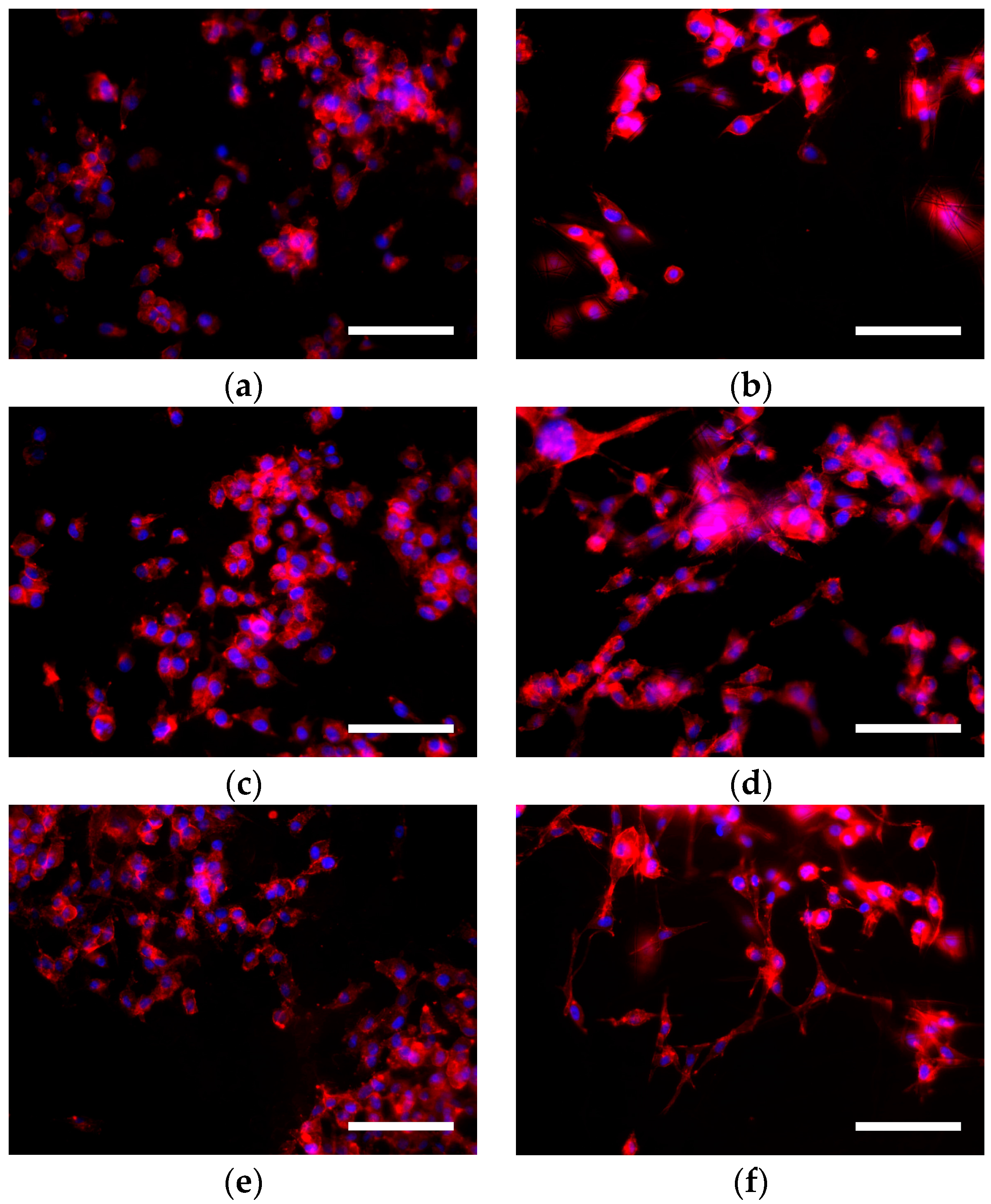Polymers 09 00328 g003