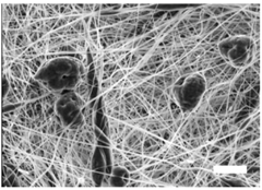 Polymers 09 00328 i001