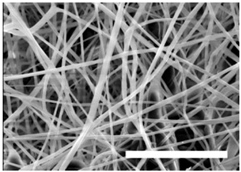 Polymers 09 00328 i002