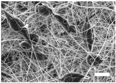 Polymers 09 00328 i003