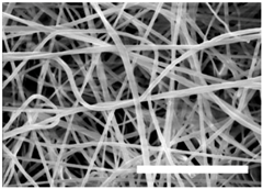 Polymers 09 00328 i004