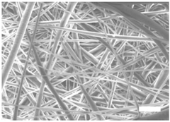 Polymers 09 00328 i005