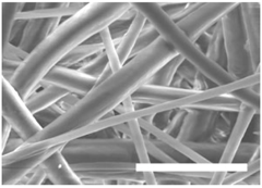 Polymers 09 00328 i006