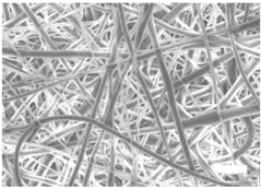 Polymers 09 00328 i007