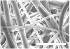 Polymers 09 00328 i008
