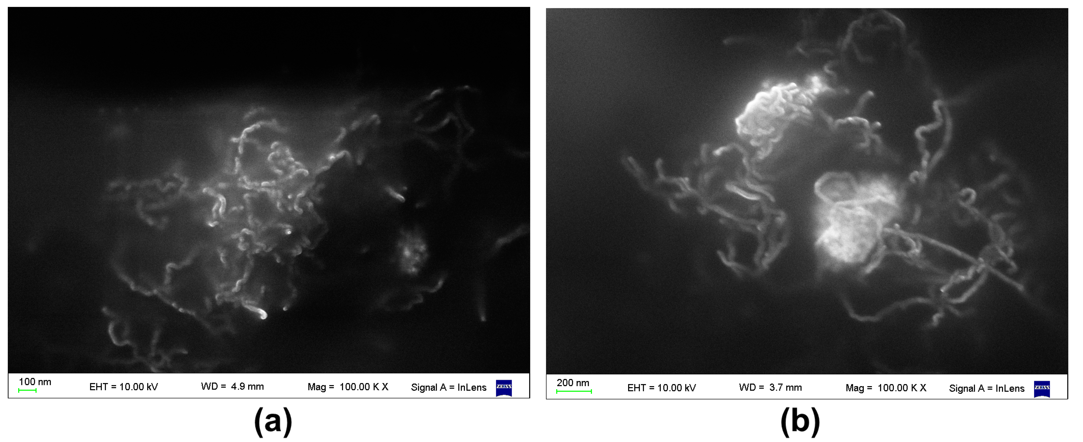 Polymers 09 00331 g003