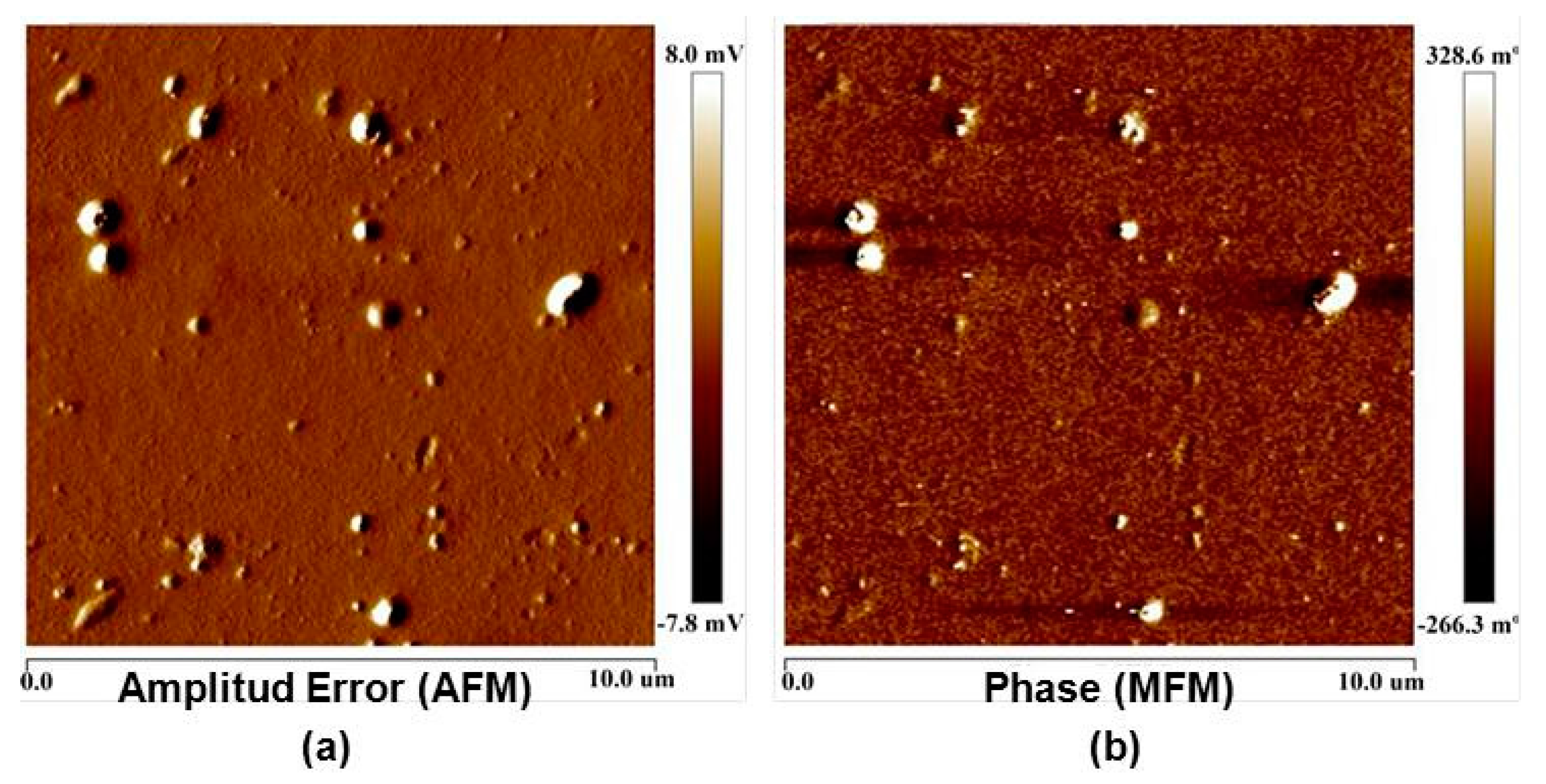 Polymers 09 00331 g004