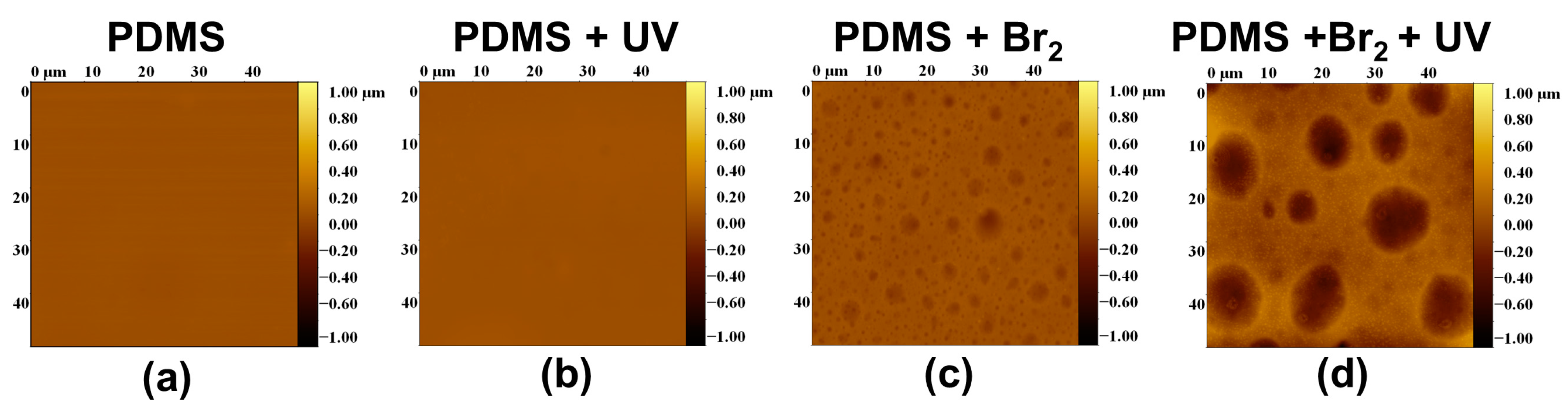 Polymers 09 00331 g008