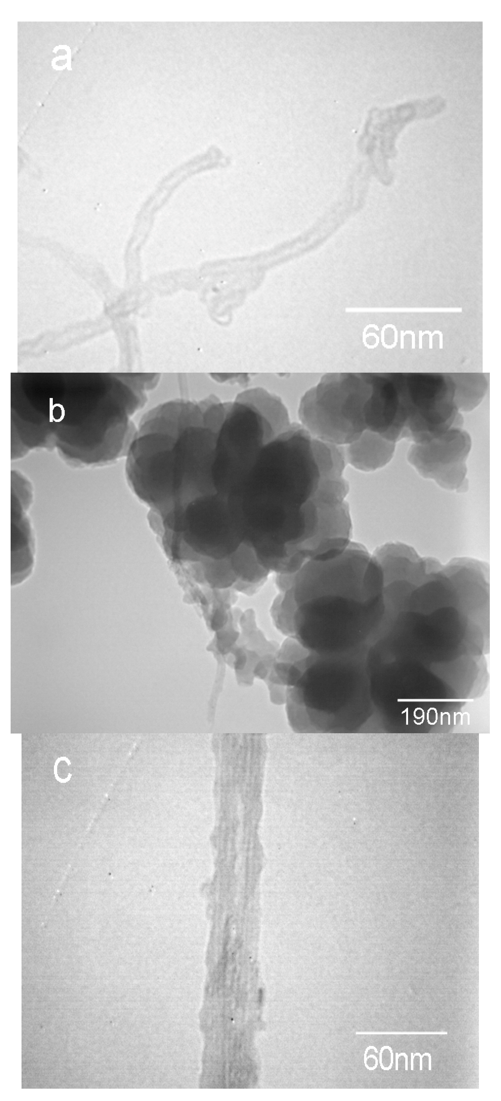 Polymers 09 00332 g001
