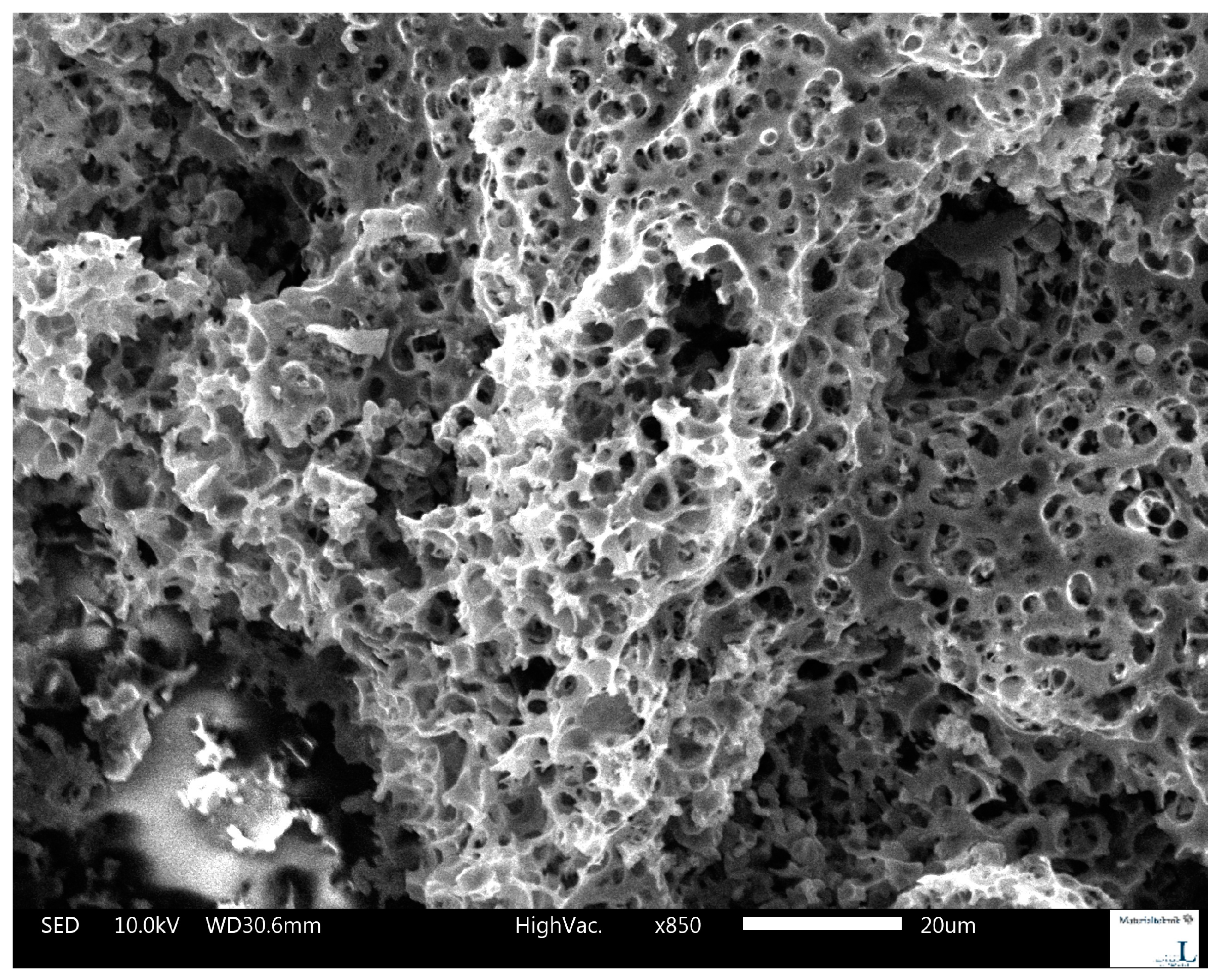 Polymers 09 00335 g002