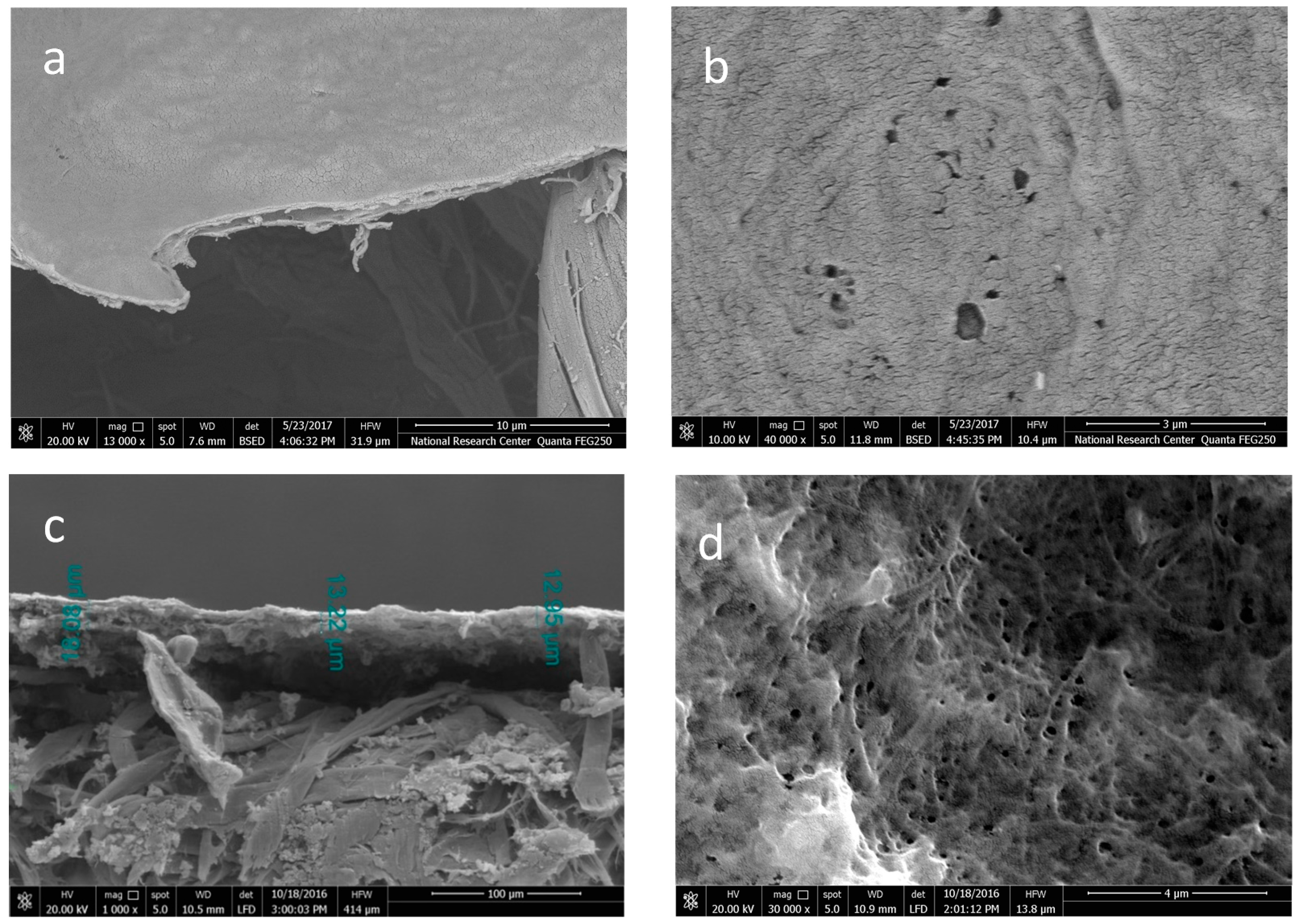 Polymers 09 00335 g003