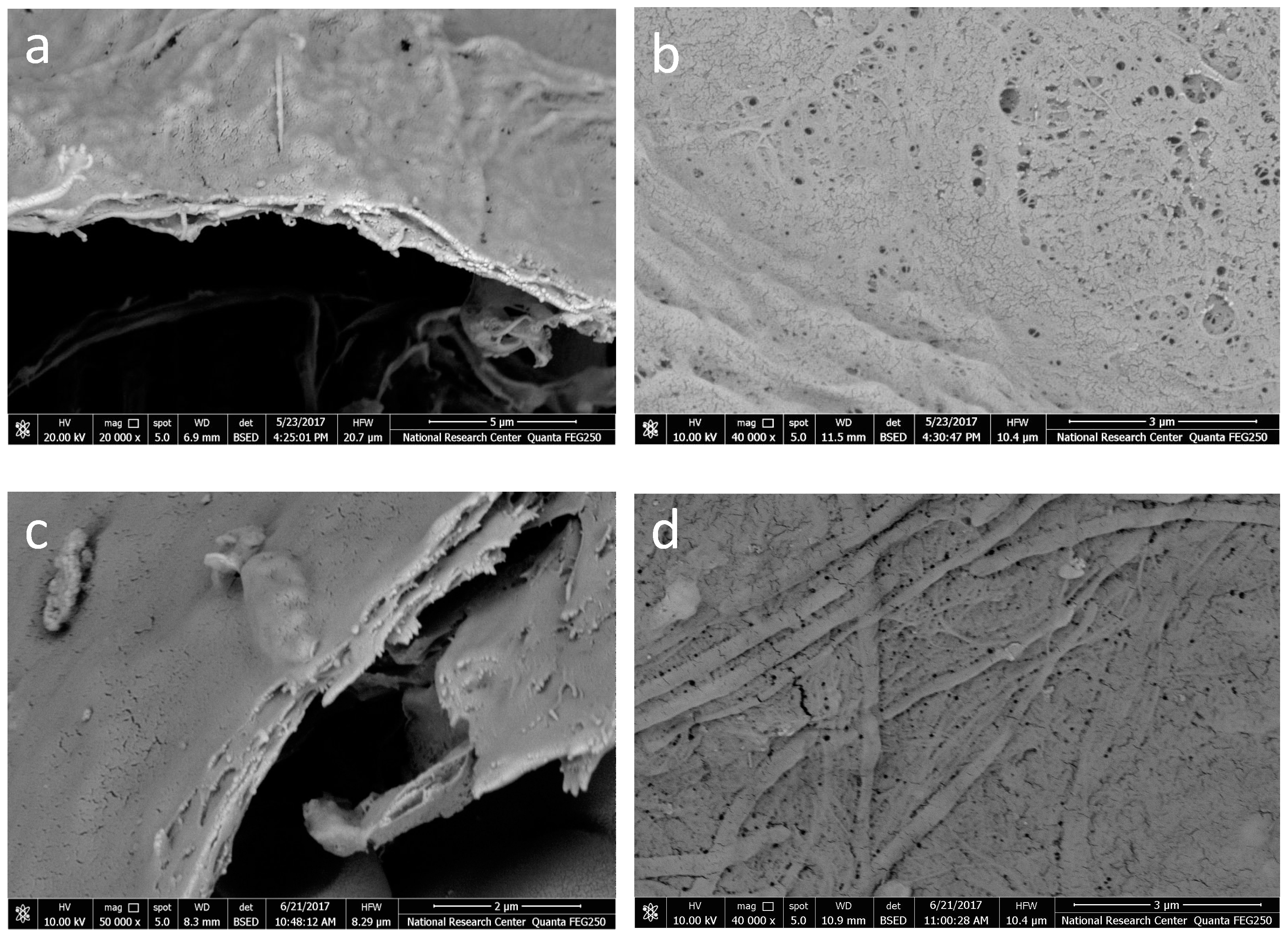 Polymers 09 00335 g004