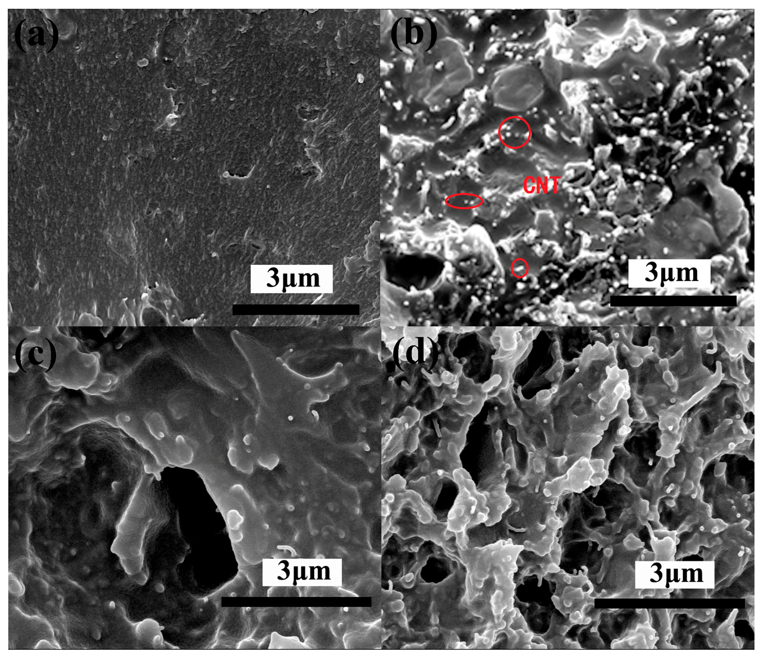 Polymers 09 00342 g006