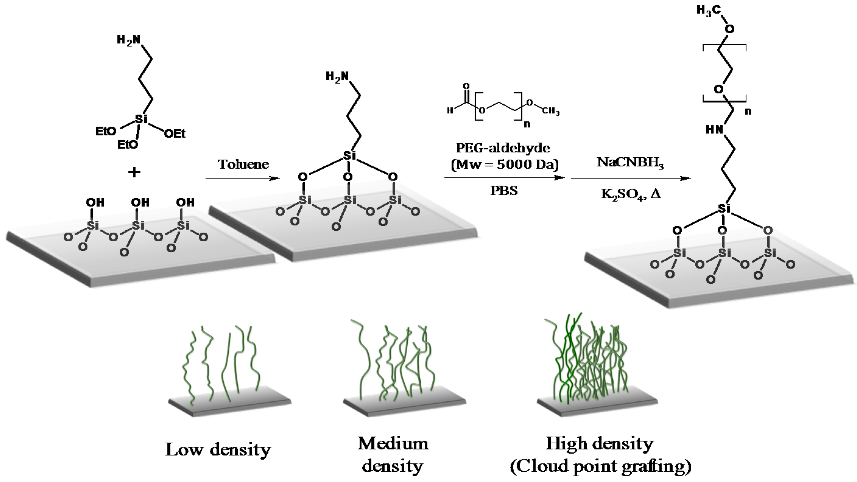 Polymers 09 00343 g001