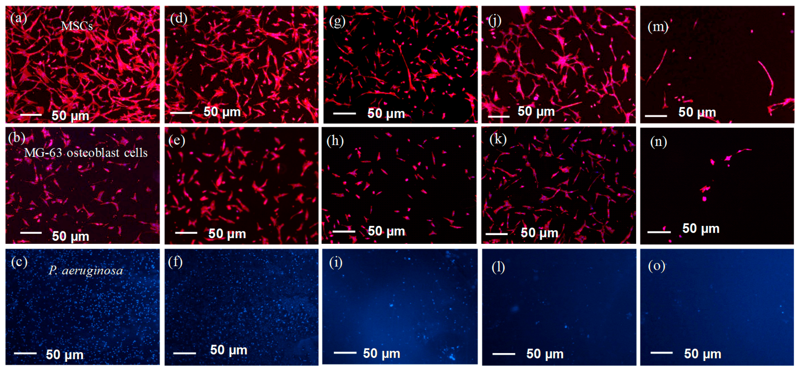Polymers 09 00343 g007