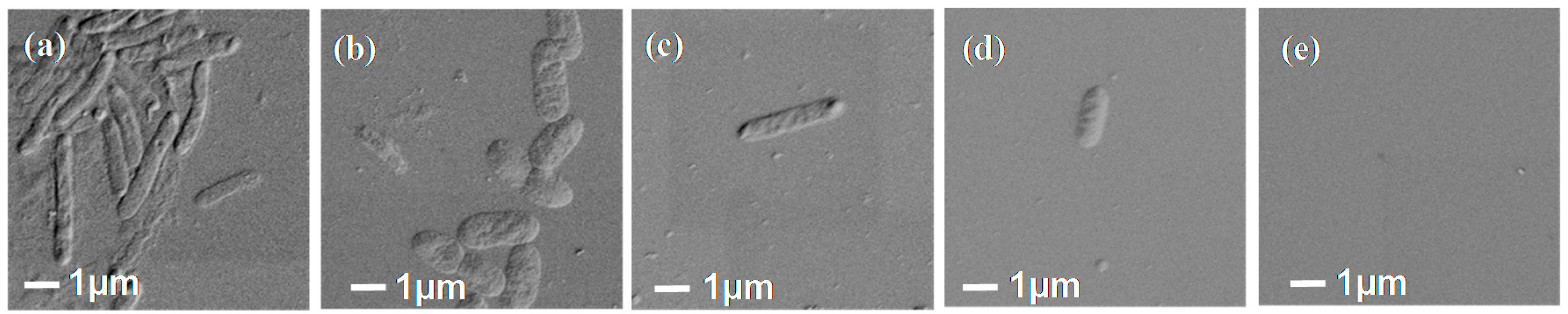 Polymers 09 00343 g008