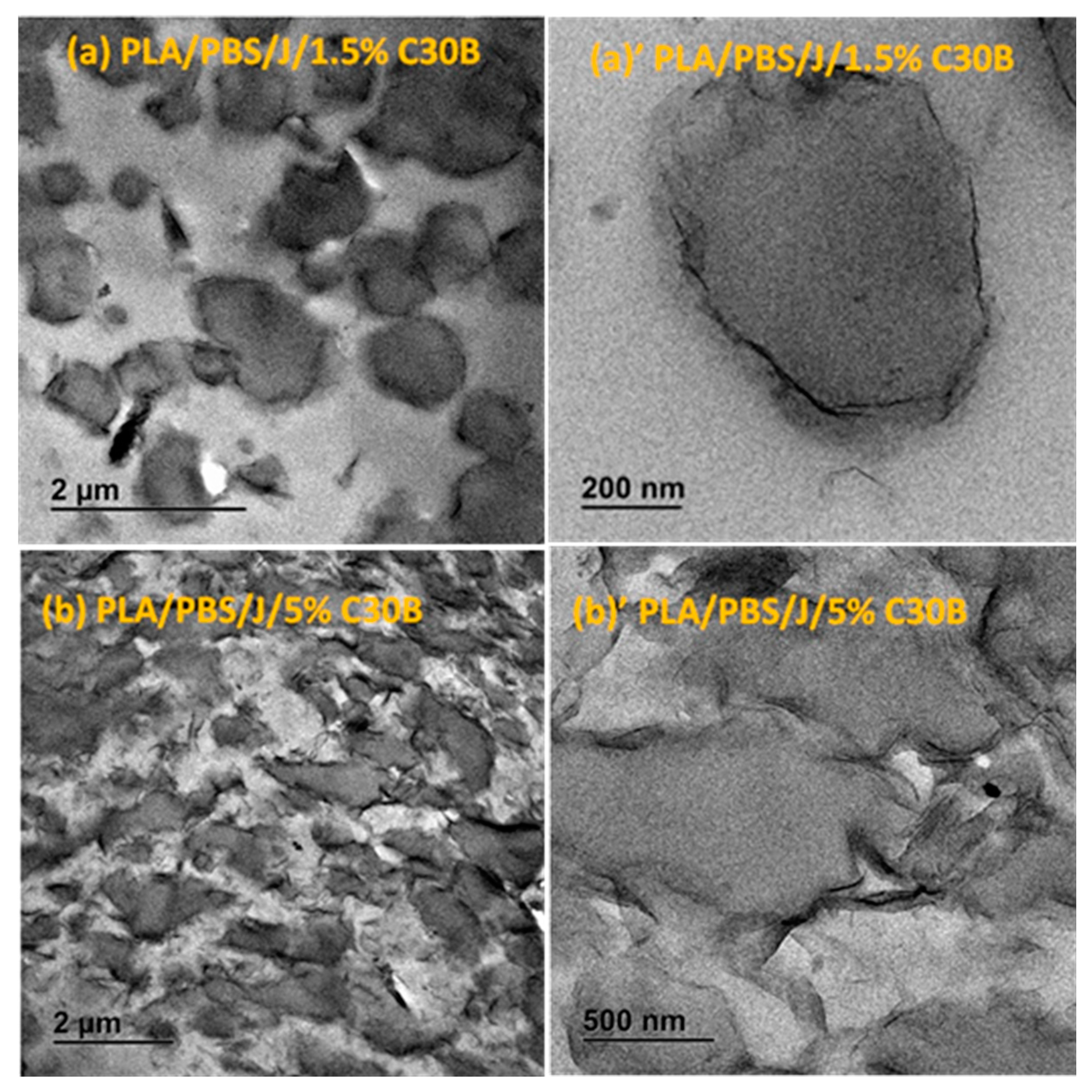 Polymers 09 00350 g005