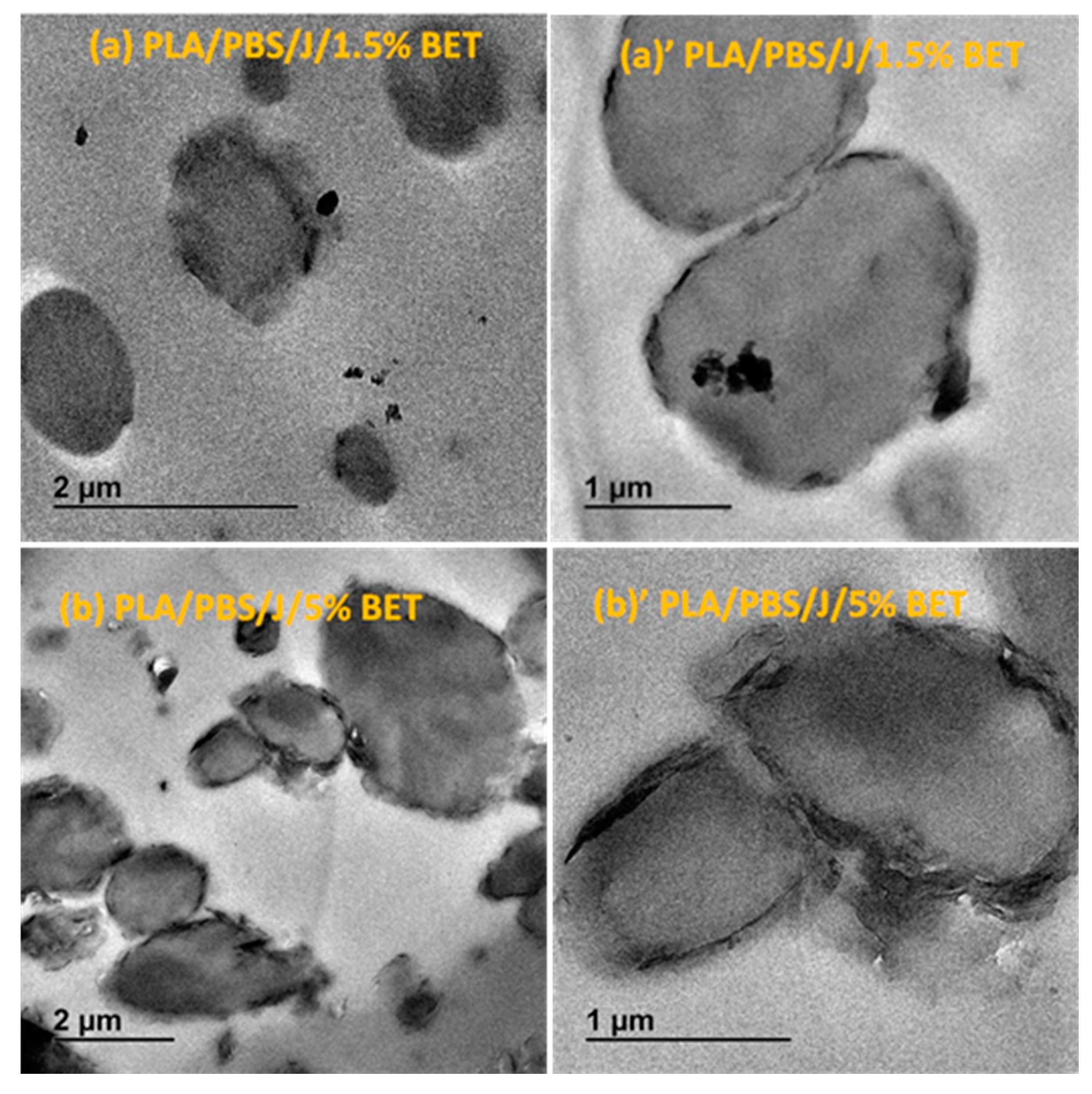 Polymers 09 00350 g006