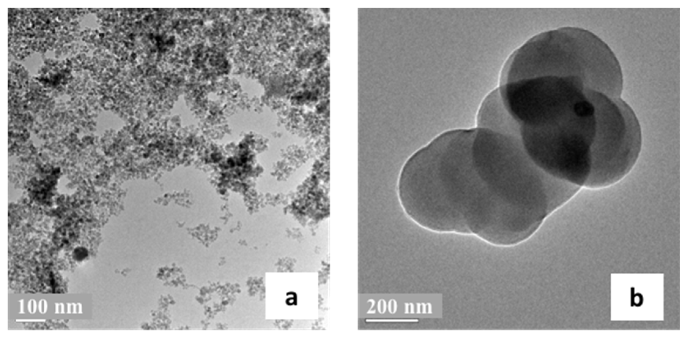 Polymers 09 00360 g003