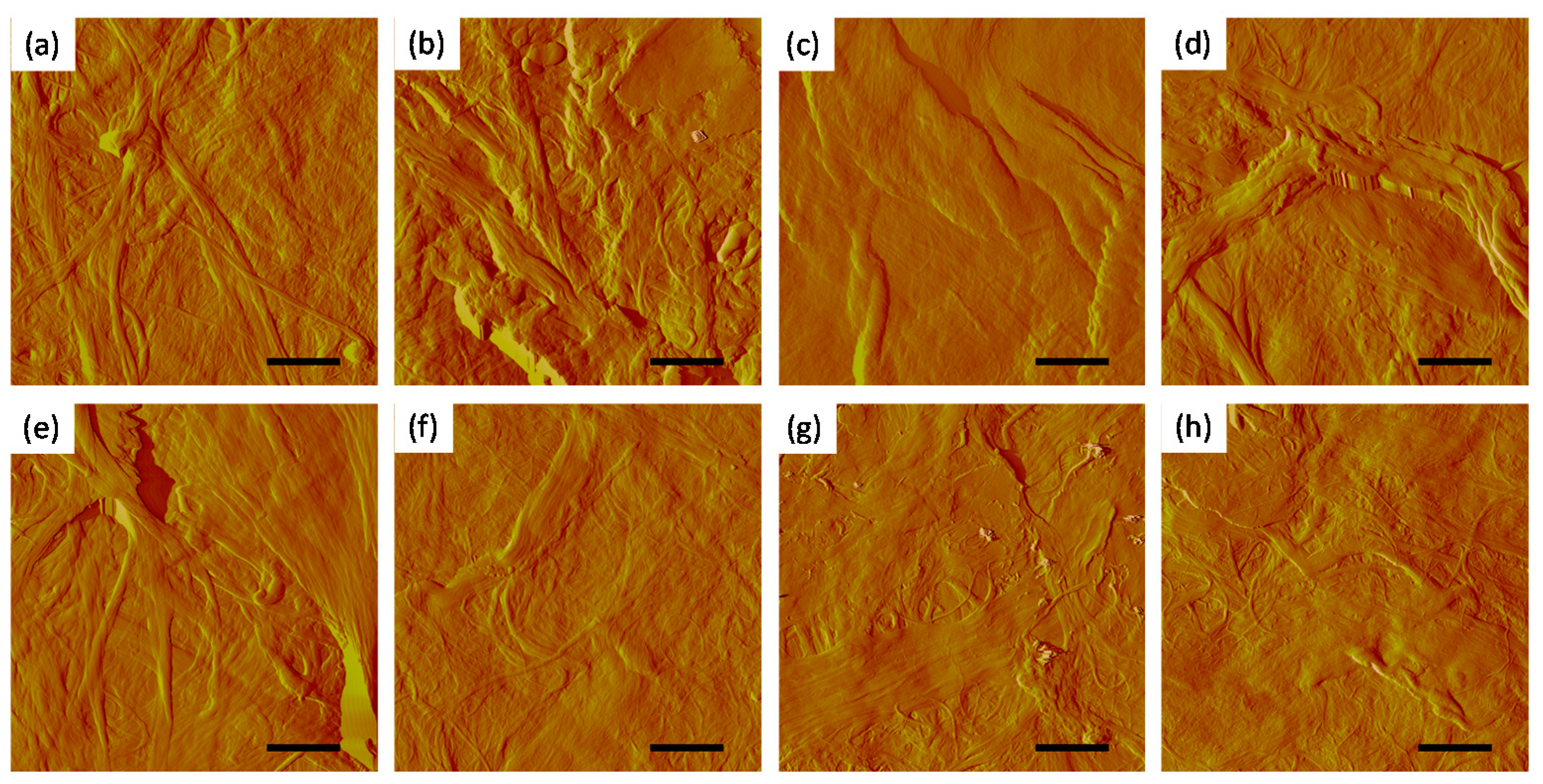 Polymers 09 00366 g006