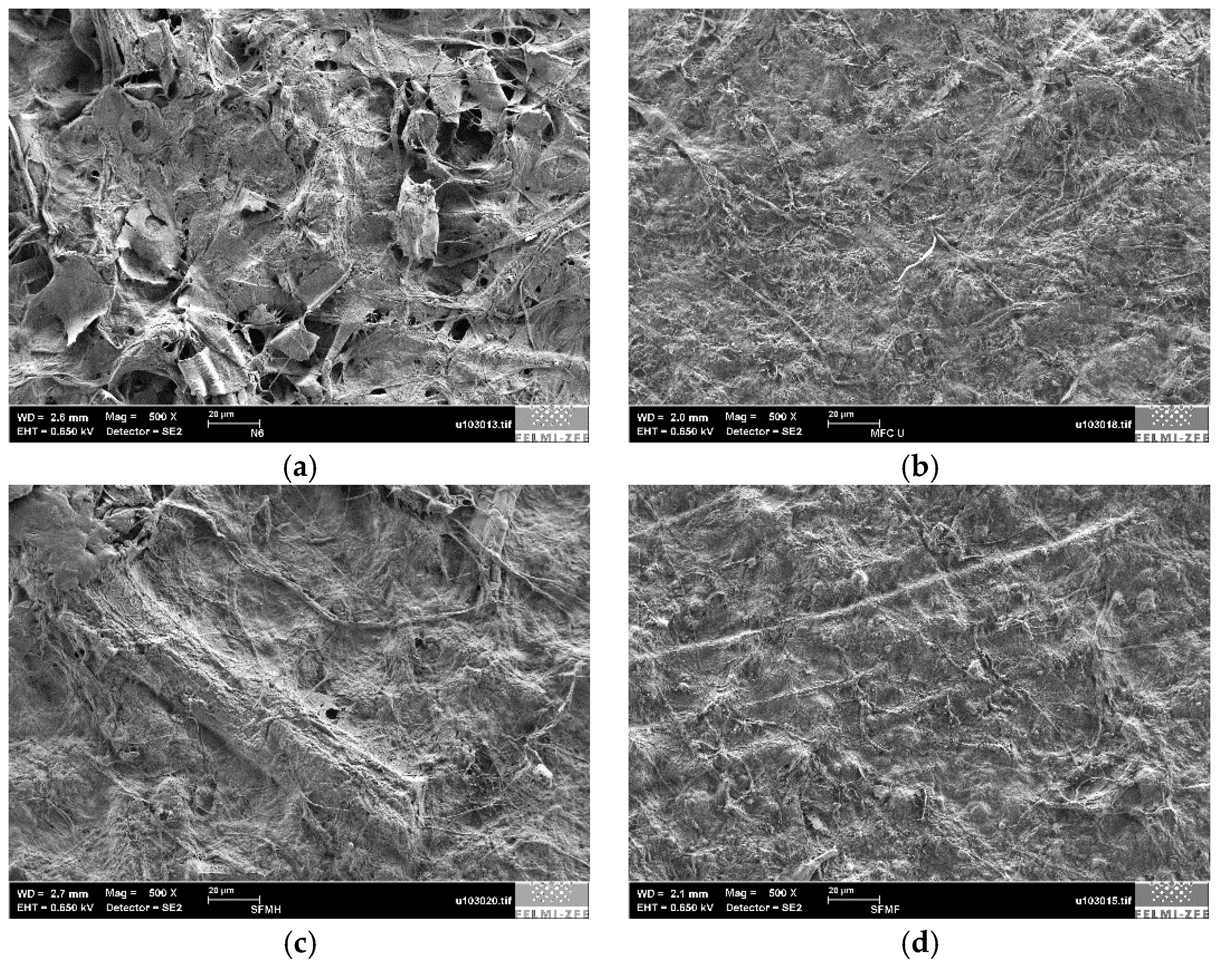 Polymers 09 00366 g007