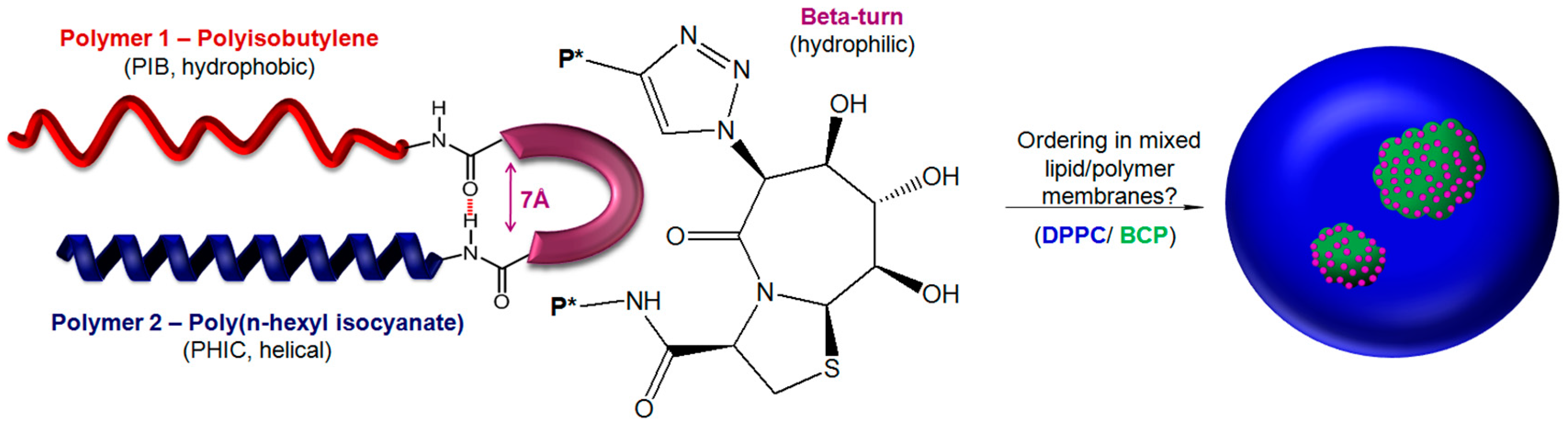 Polymers 09 00369 g001