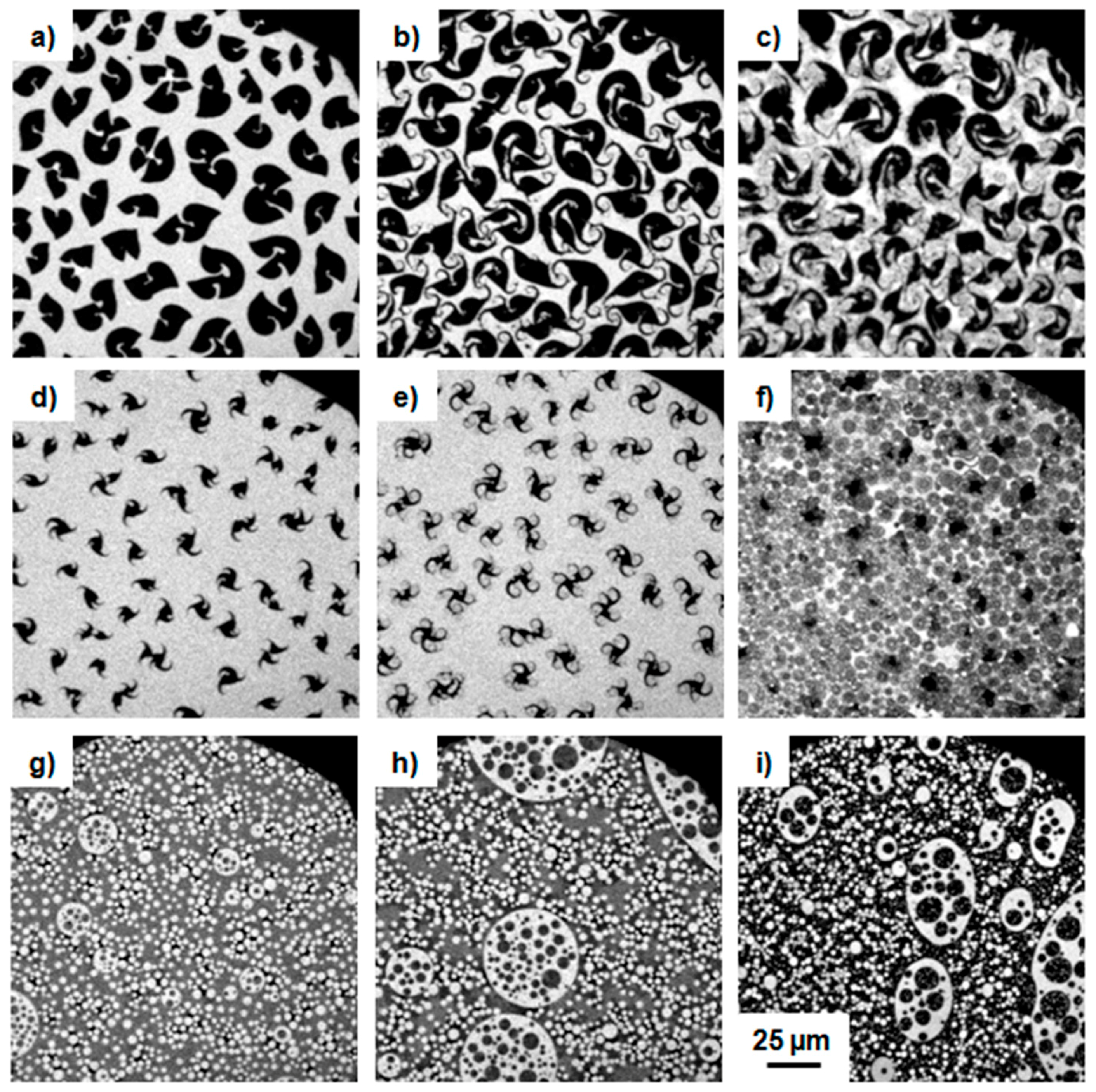 Polymers 09 00369 g003