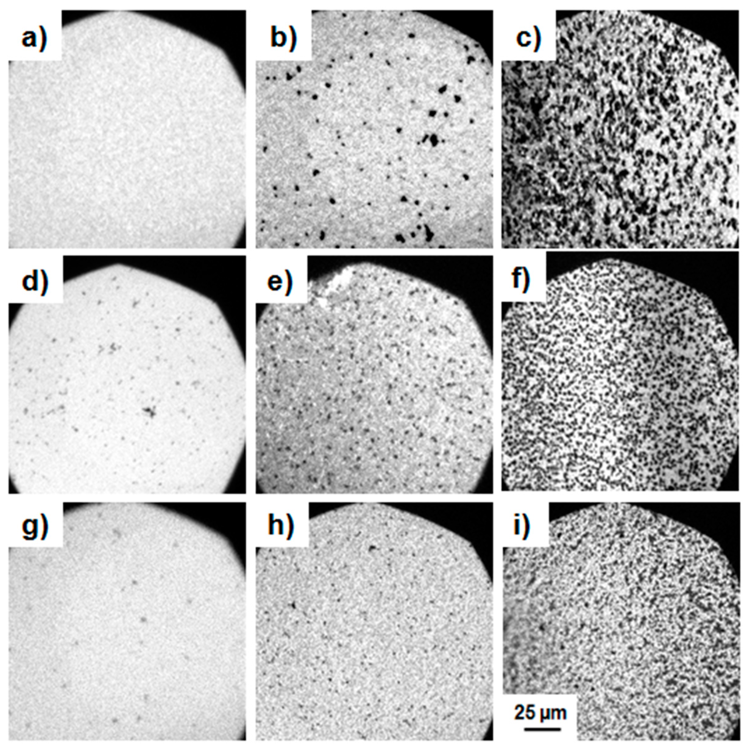 Polymers 09 00369 g006