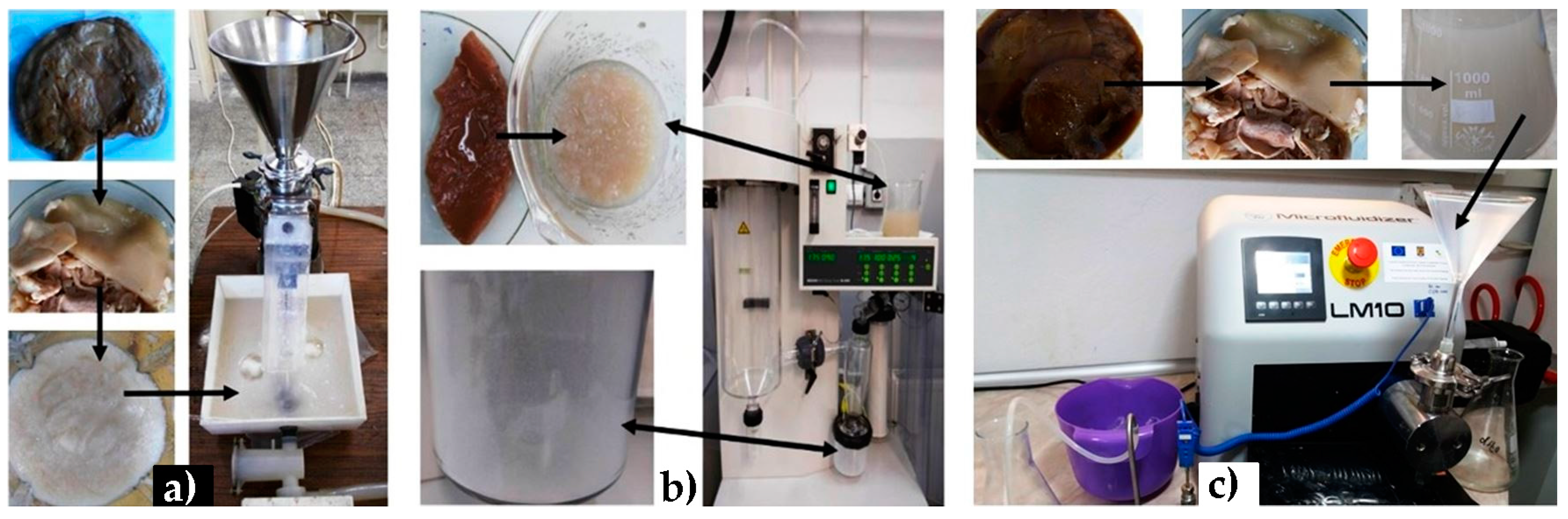 Polymers 09 00374 g001