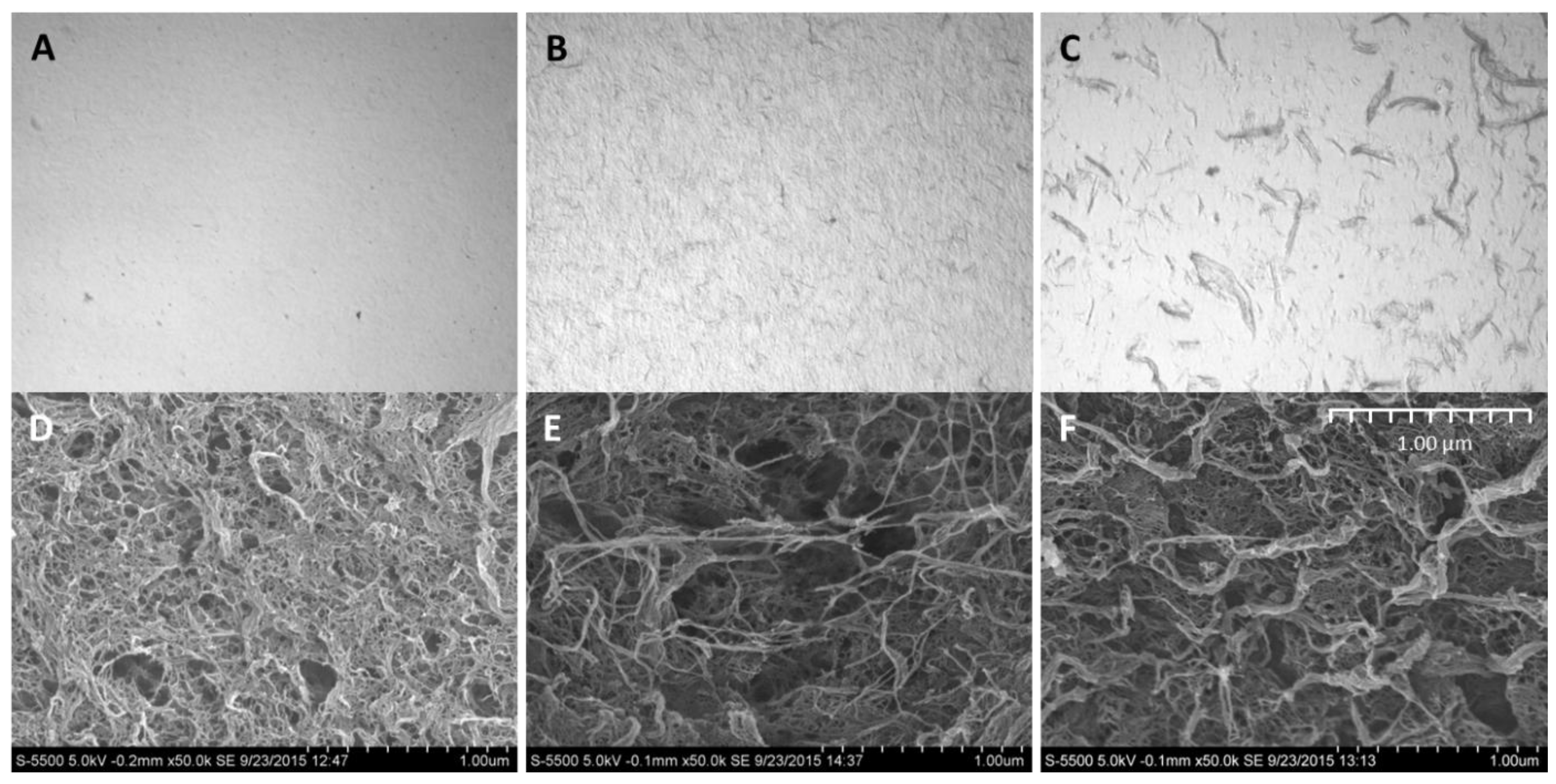 Polymers 09 00378 g005