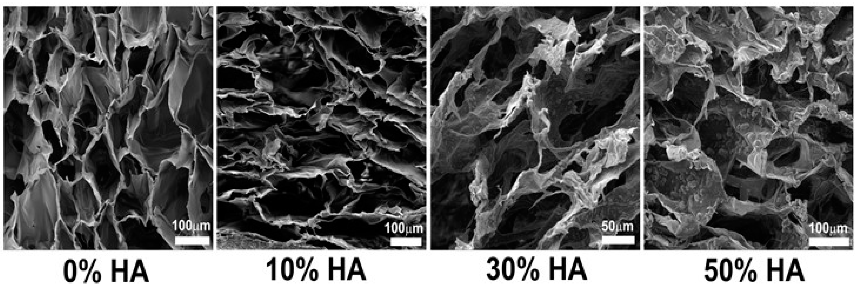 Polymers 09 00387 g001 Polymers 09 00387 g001