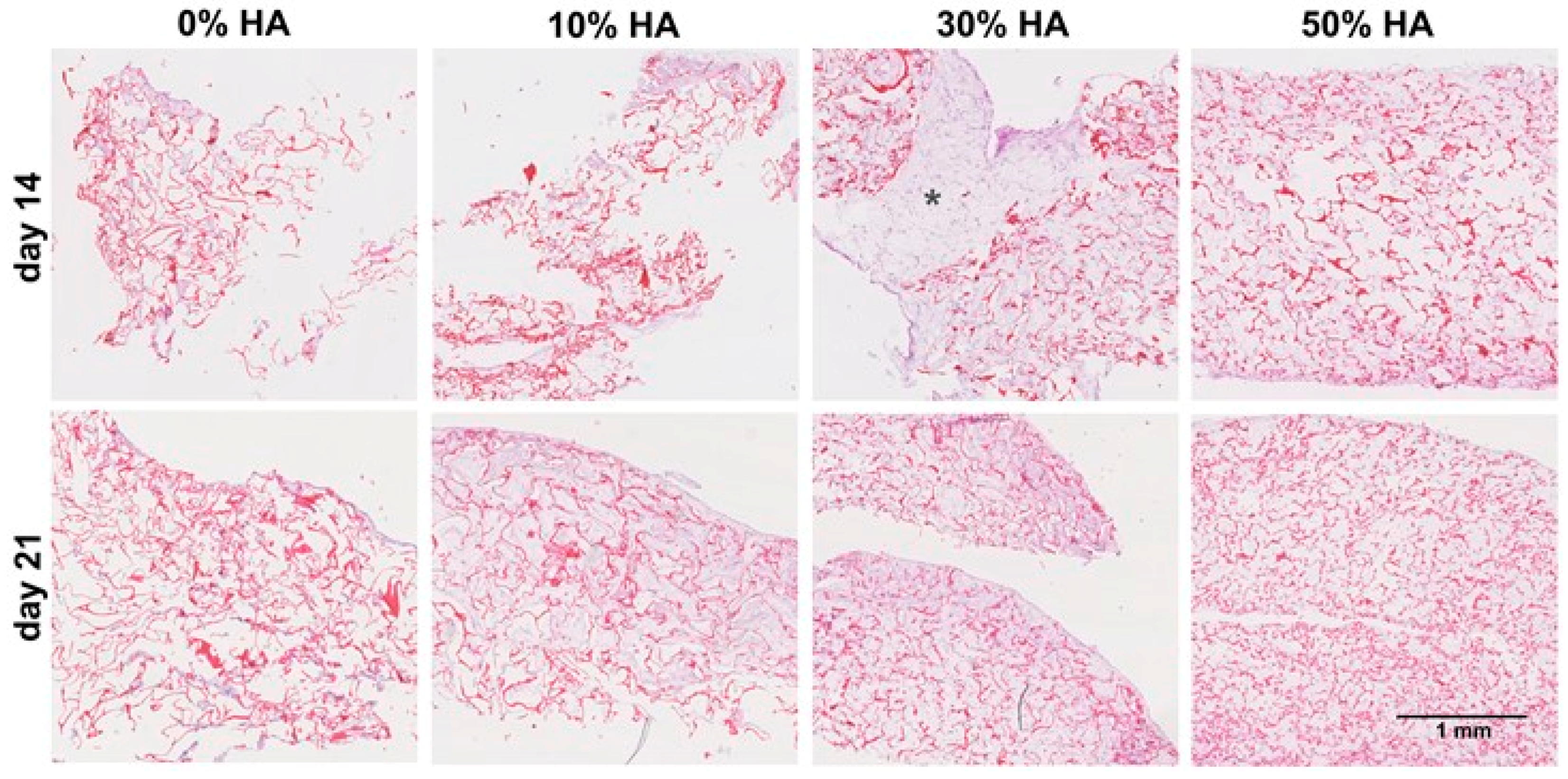 Polymers 09 00387 g003 Polymers 09 00387 g003