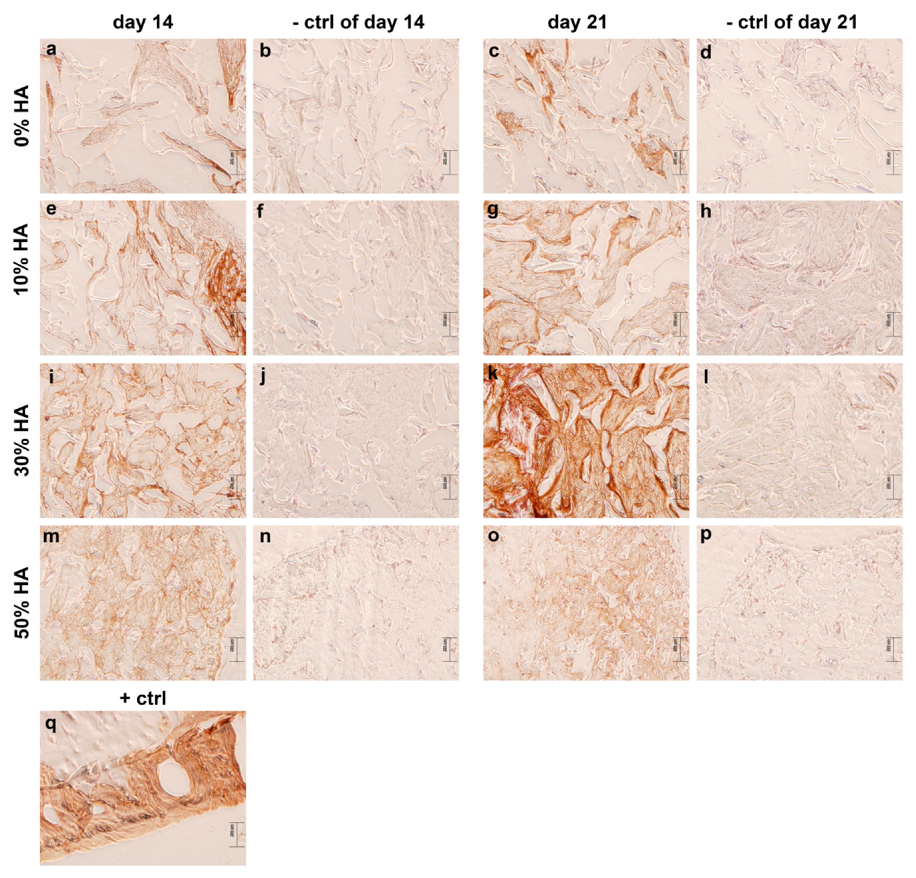 Polymers 09 00387 g005 Polymers 09 00387 g005