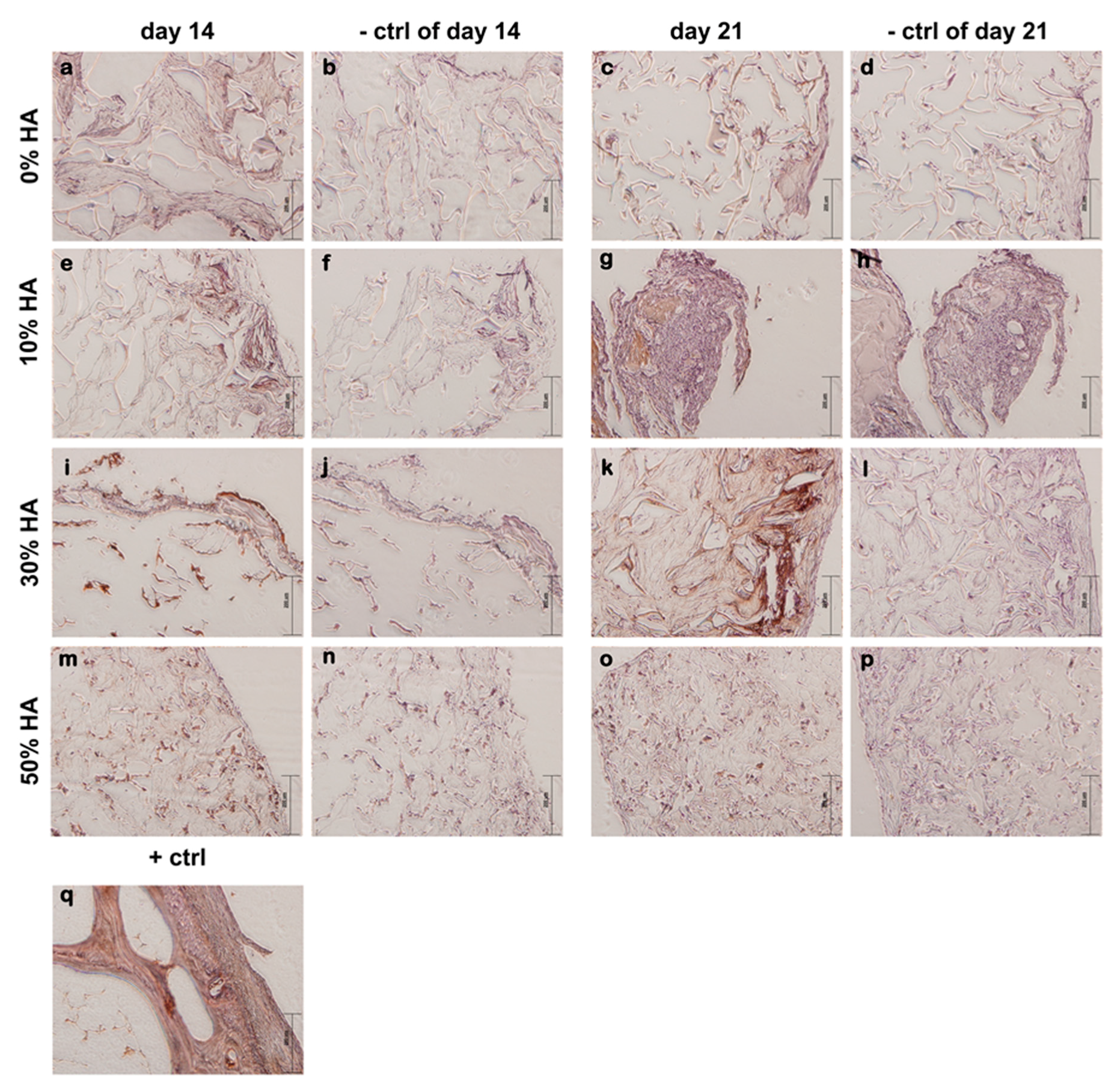 Polymers 09 00387 g006 Polymers 09 00387 g006