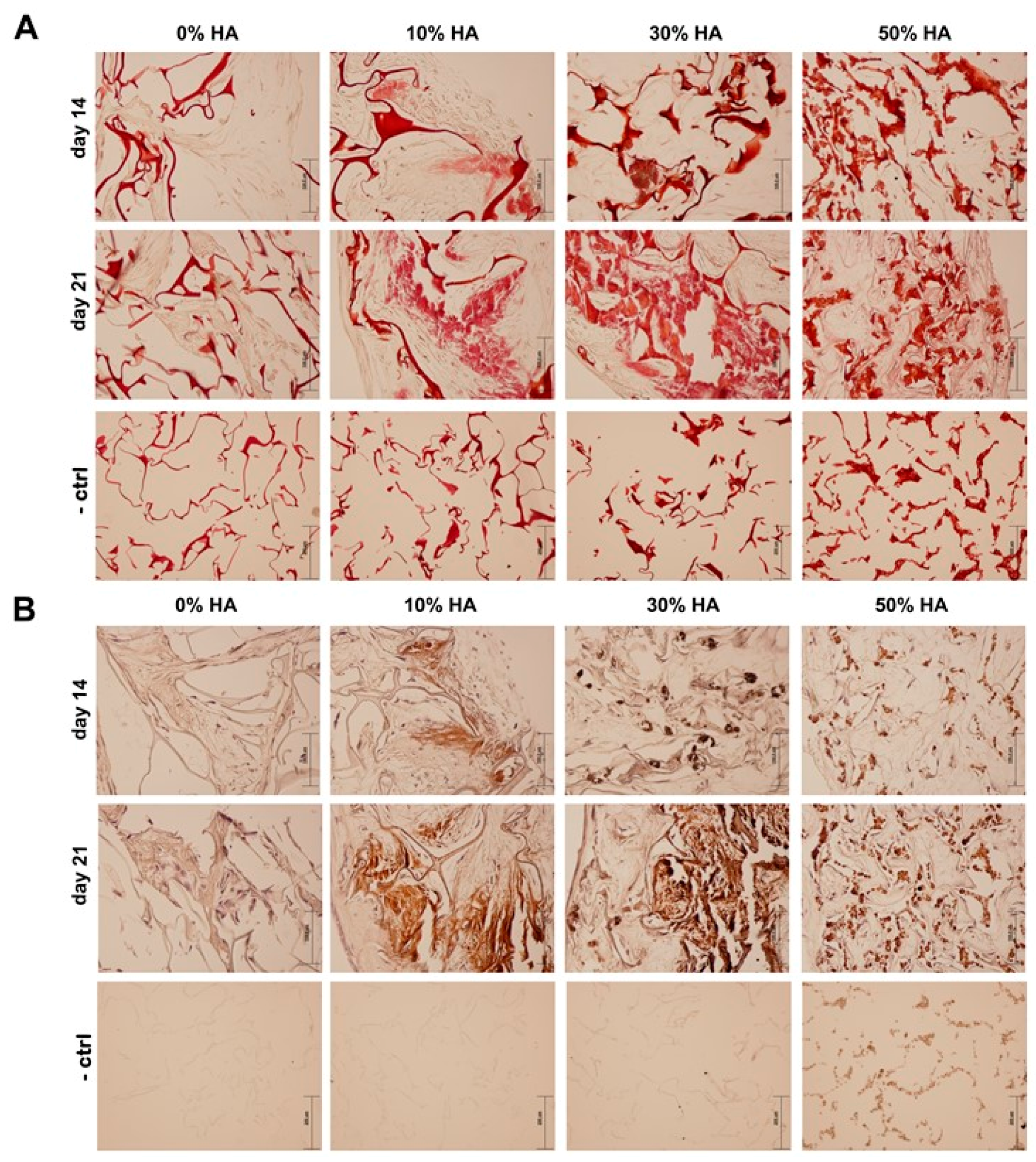 Polymers 09 00387 g007 Polymers 09 00387 g007