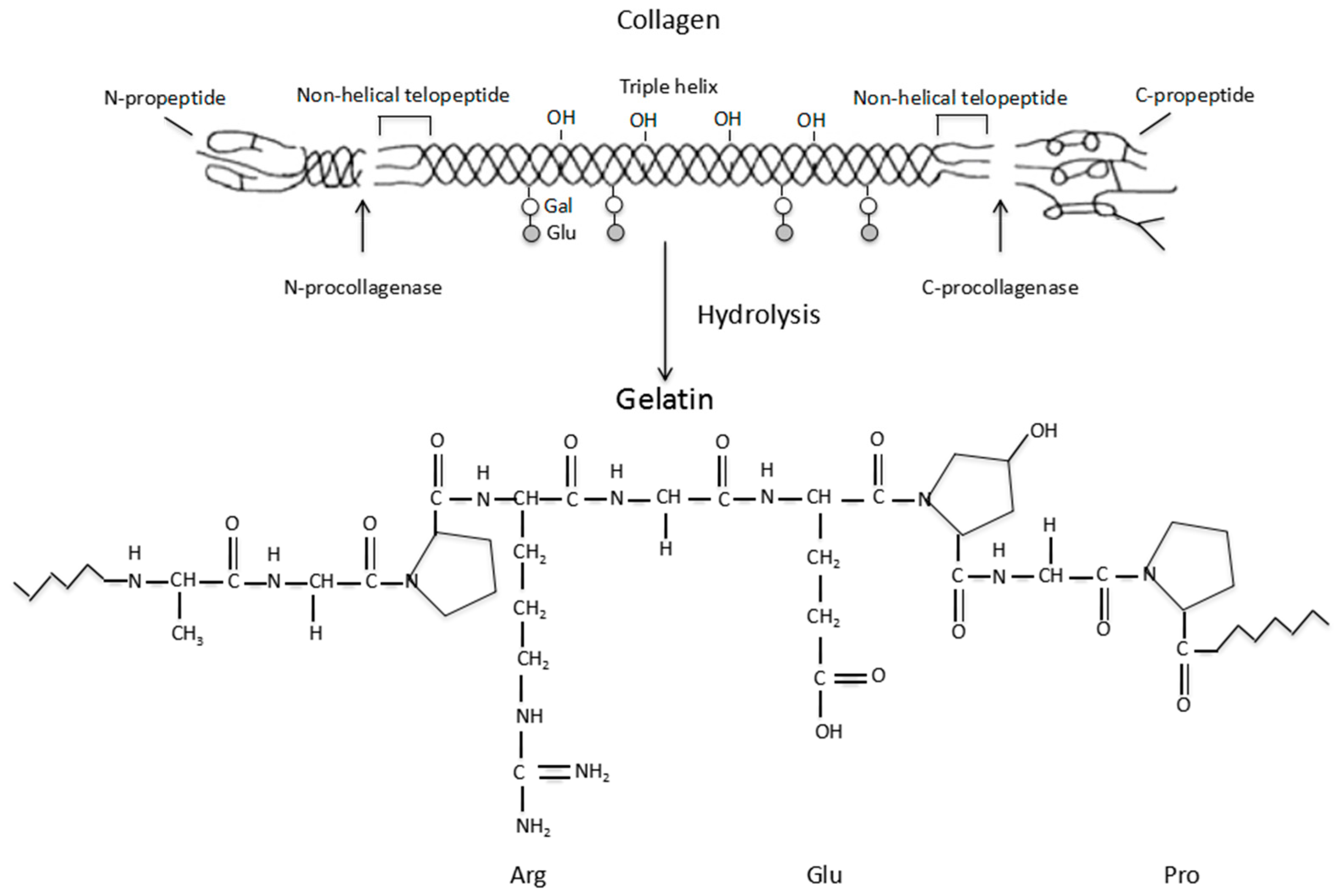 Polymers 09 00401 g001