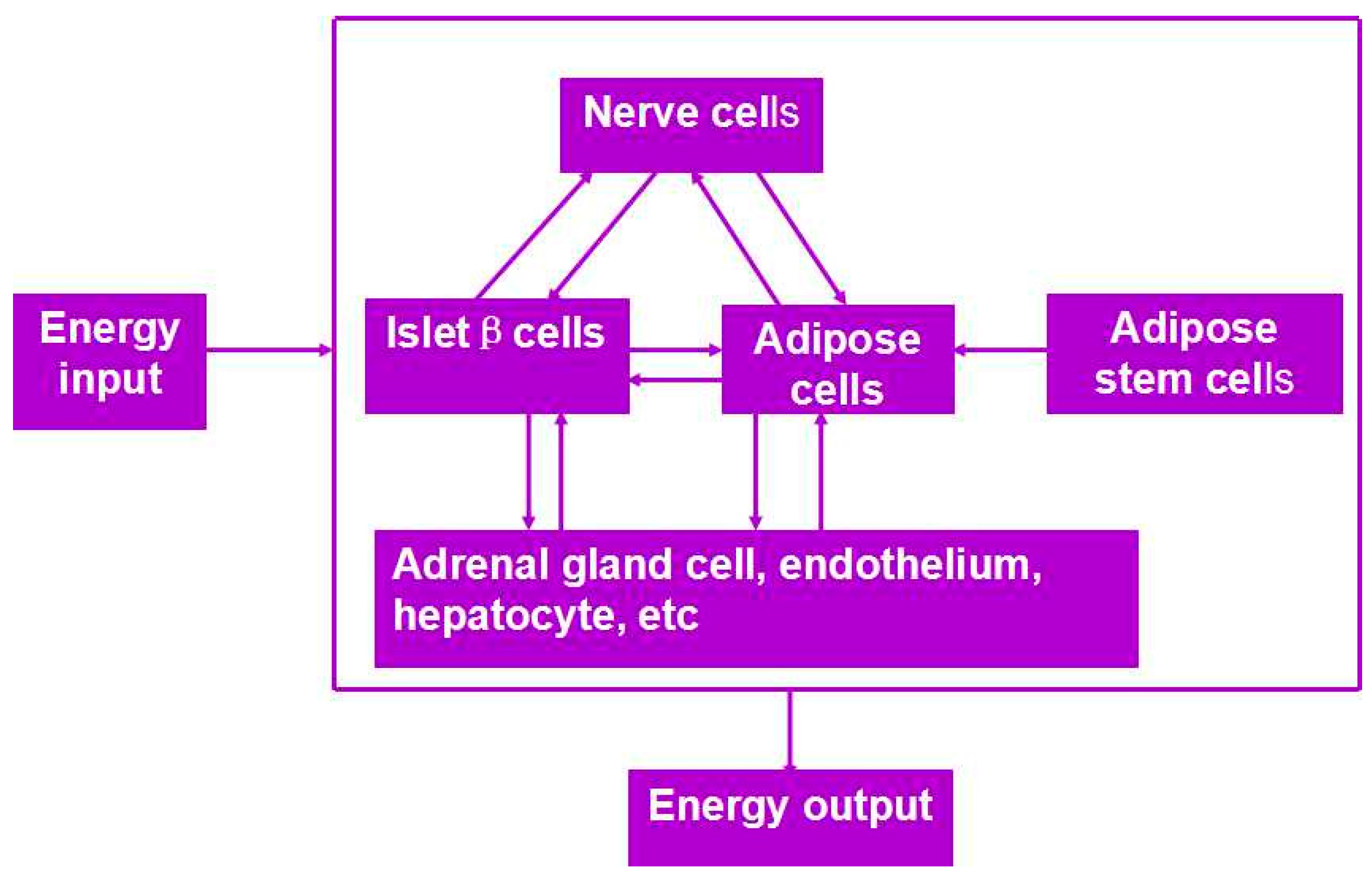 Polymers 09 00401 g004
