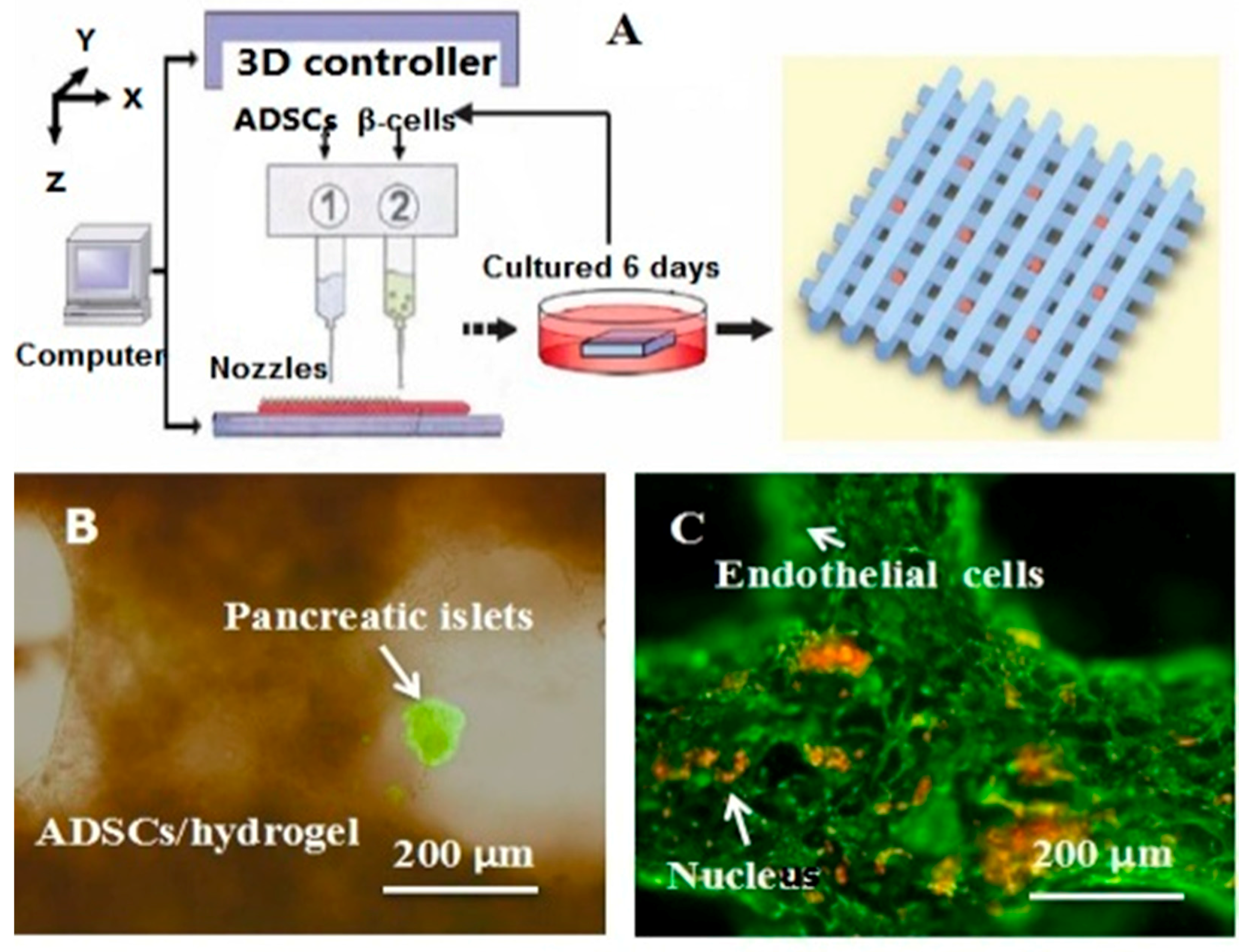 Polymers 09 00401 g005a