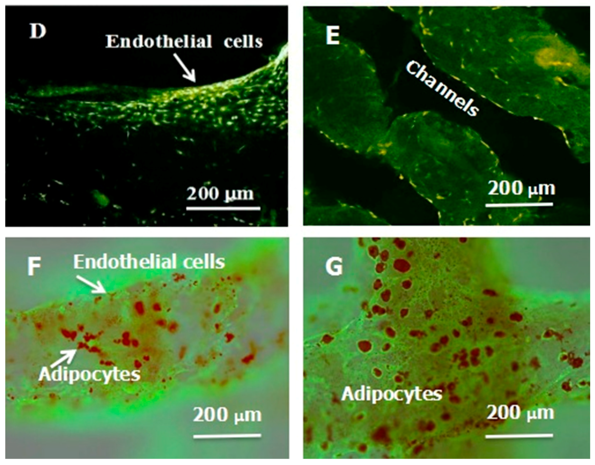 Polymers 09 00401 g005b