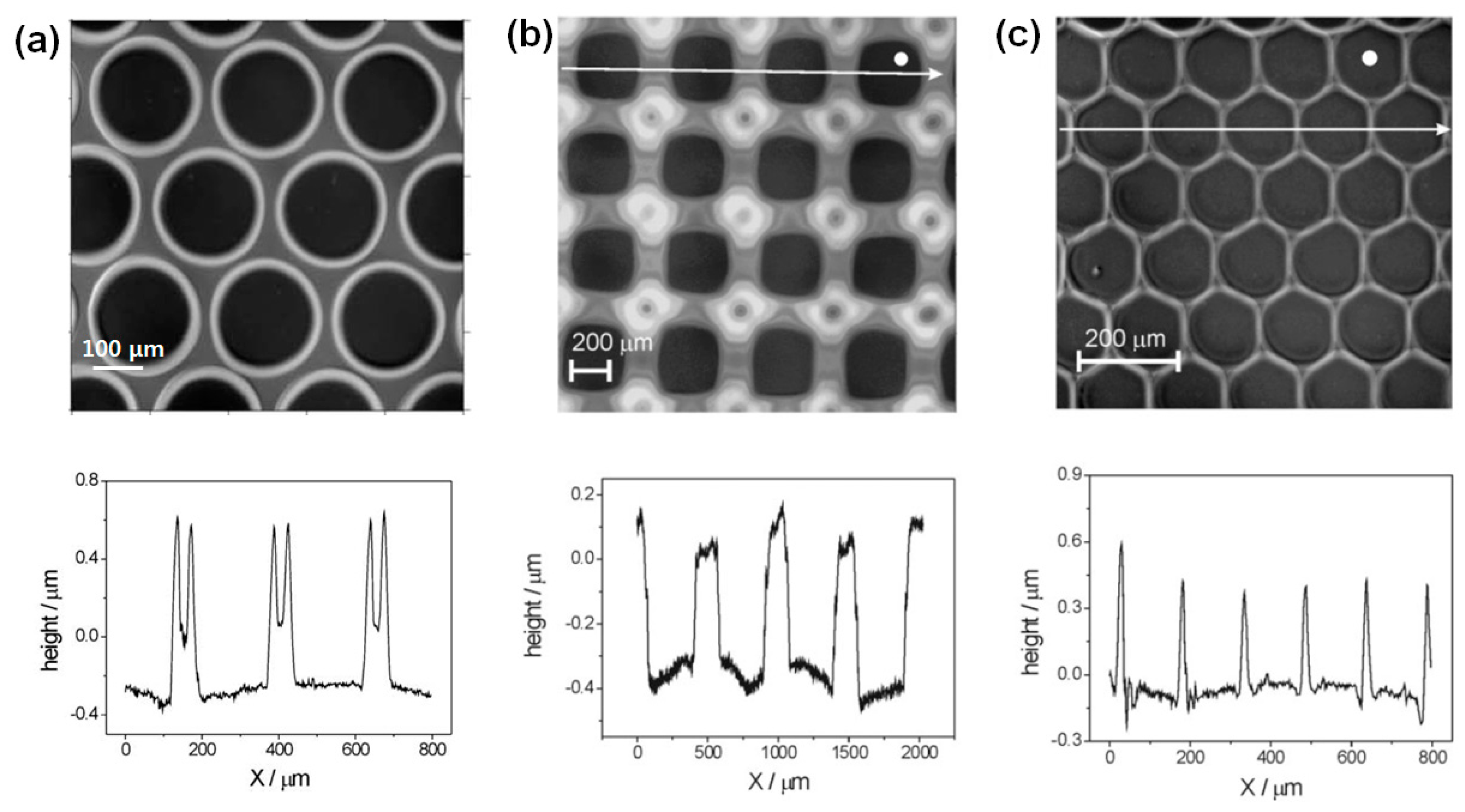 Polymers 09 00441 g002